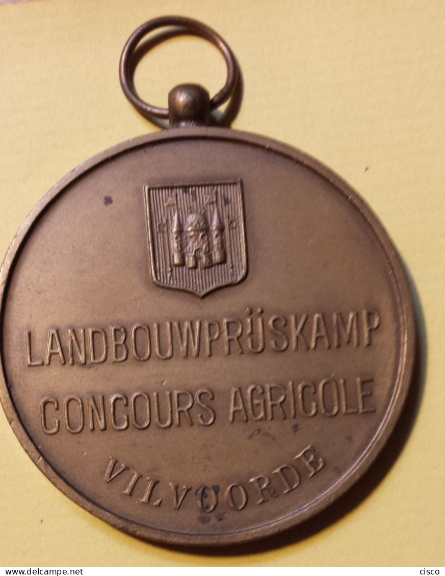 Médaille FISHWEILER Concours Agricole BAUDOUIN FABIOLA Landbouwprijskamp Vilvoorde Bronze - Professionals / Firms