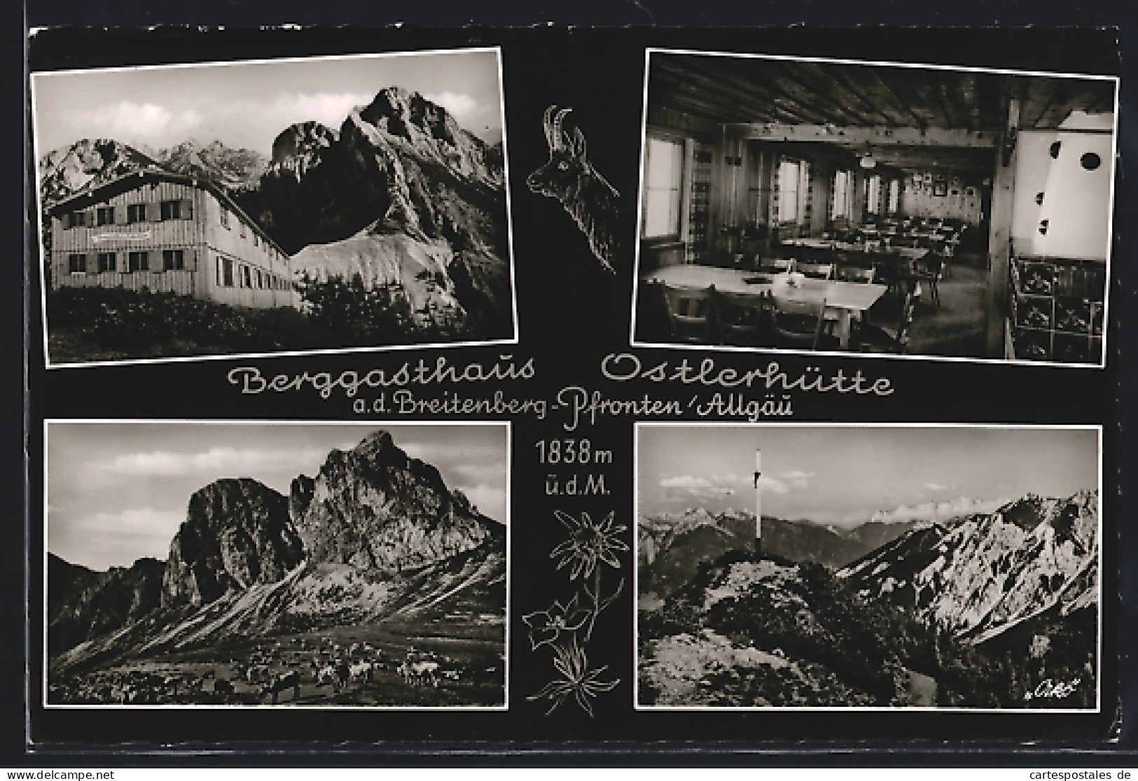 AK Pfronten /Allgäu, Berggasthaus Ostlerhütte A. D. Breitenberg, Innenansicht, Panorama  - Pfronten