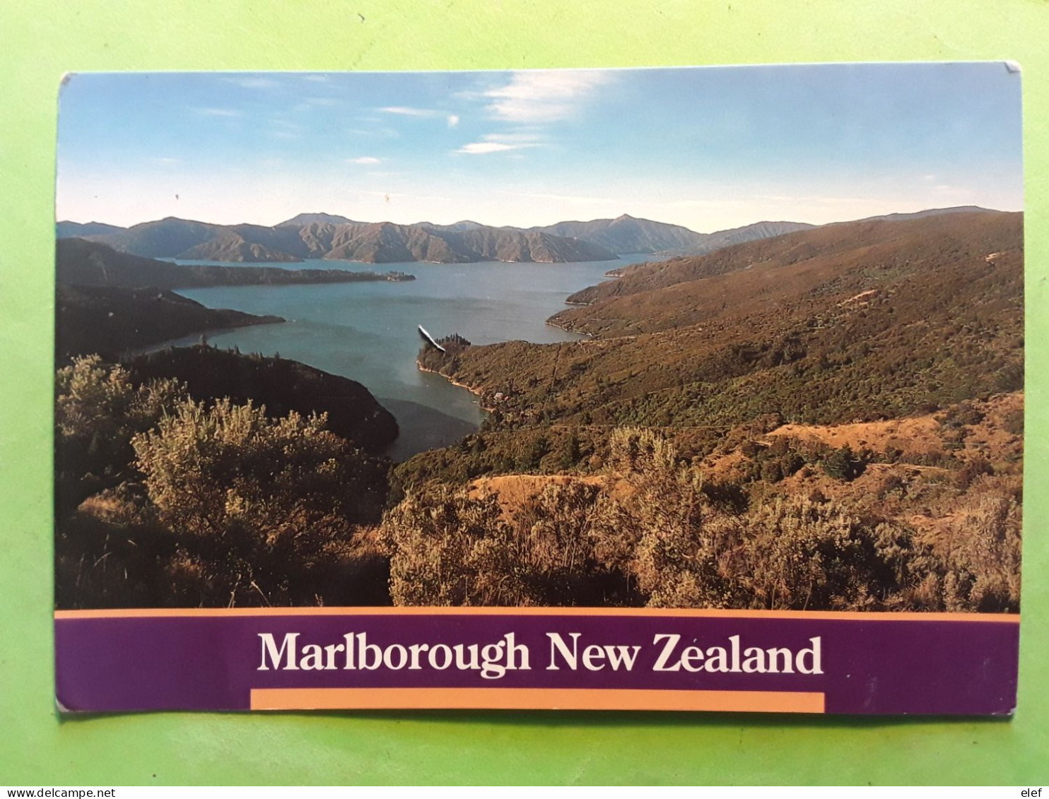 NEW ZEALAND , Papillon Dodonidia Helmsii Butterfly Sur Carte Marlborough, 1995 - Vlinders