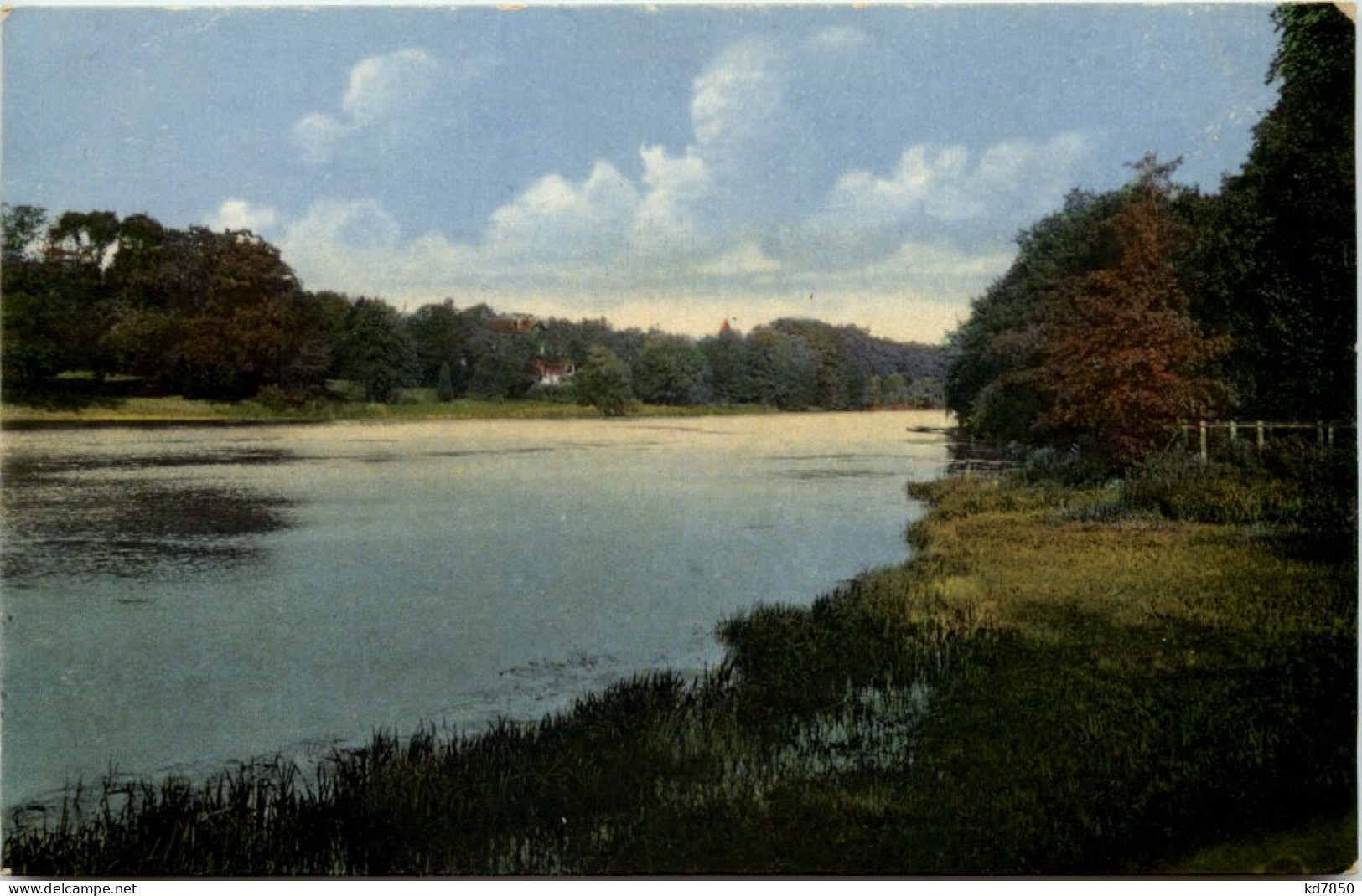 Im Sachsenwald Bei Reinbek - Reinbek