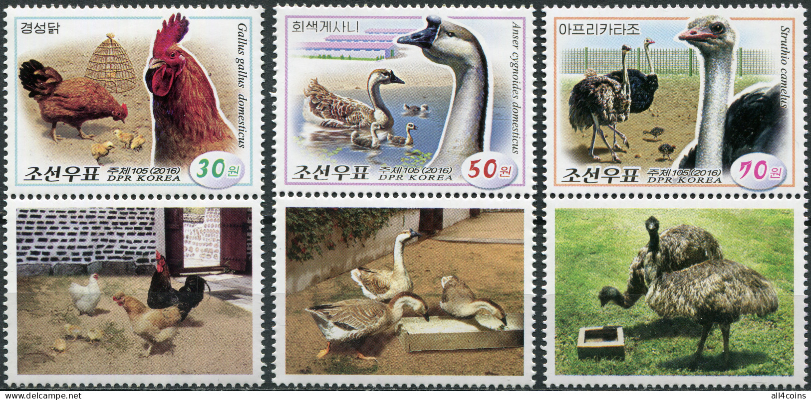 Korea 2016. Poultry (MNH OG) Set Of 3 Stamps And 3 Labels - Corea Del Nord