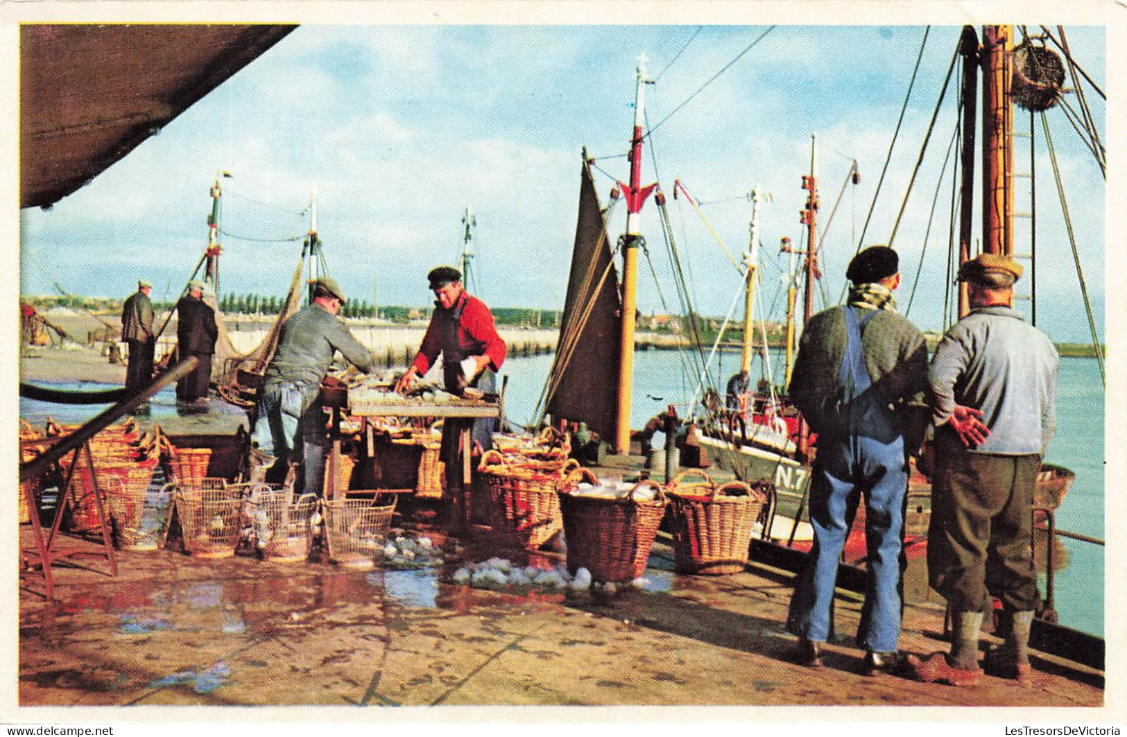 METIERS - Pêche - Mer - Pêcheurs - Colorisé - Carte Postale - Fischerei