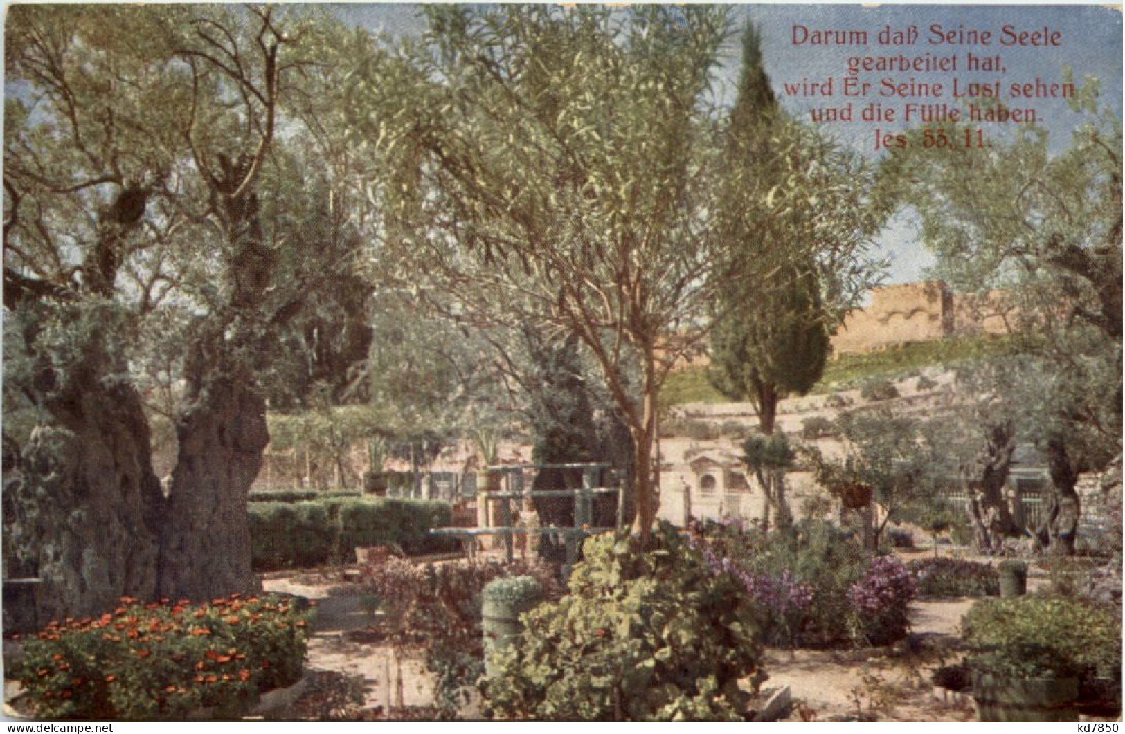 Gethsemane - Palestine