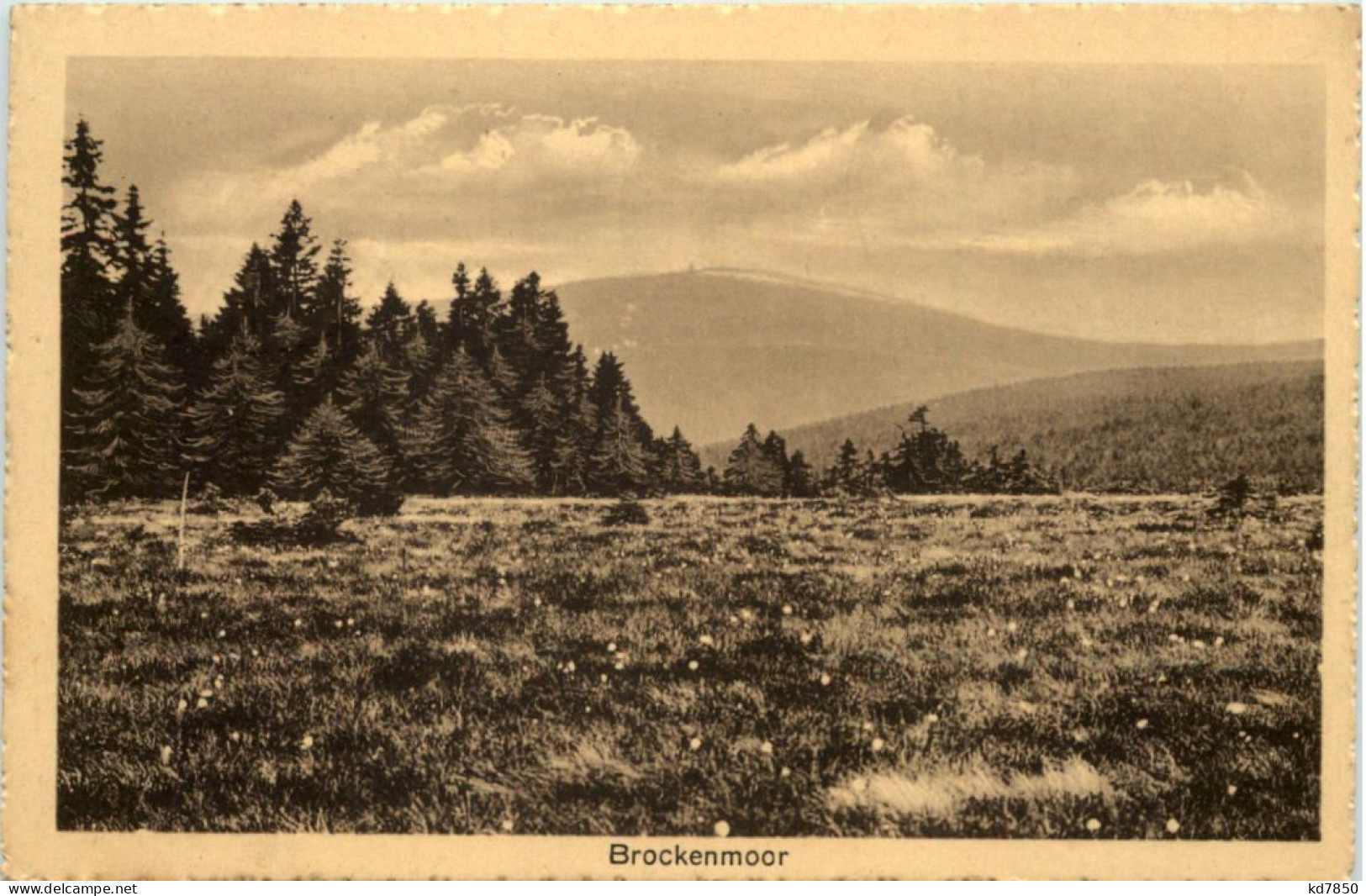 Brockenmoor - Torfhaus Im Oberharz - Clausthal-Zellerfeld