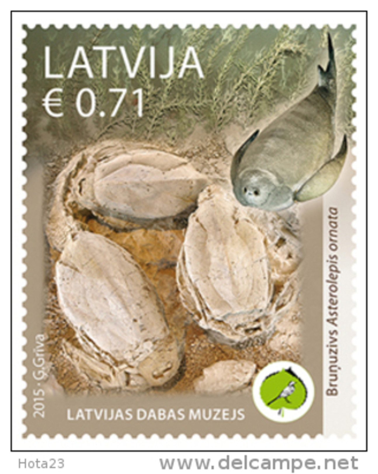 Latvia Lettonia 2015 - Sea Calf ,fish Placodermi  Latvian Natural History Museum's  -  MNH - Lettland