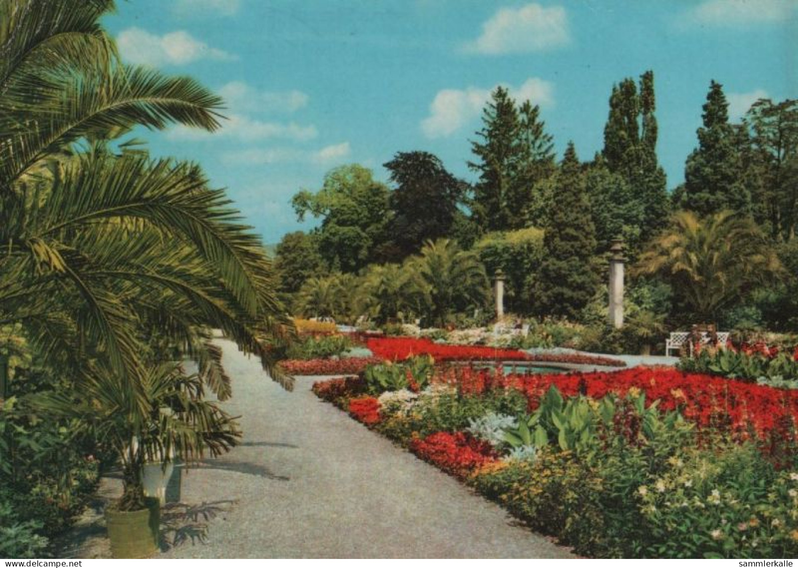 106350 - Bad Pyrmont - Palmengarten - 1976 - Bad Pyrmont