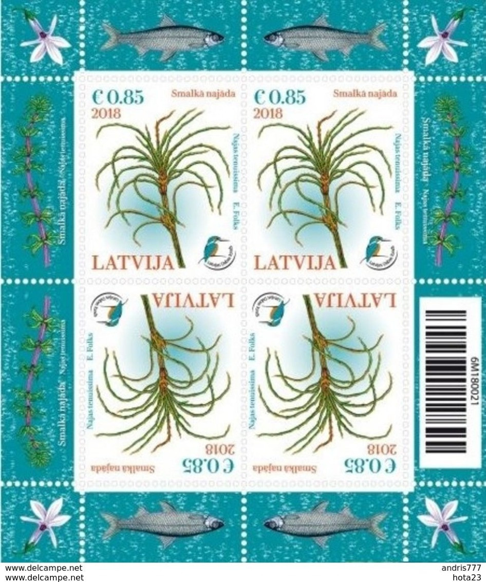 2018 Latvia Lettland Lettonie Aquatic Plant - - Bird - Kingfisher Stamp M / S - Lettland