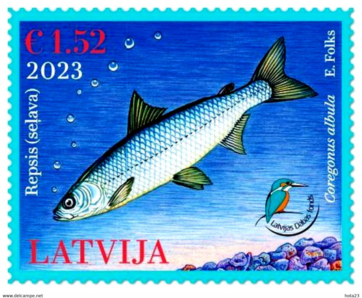 Latvia Lettland Lettonie 2023  Latvian Fund For Nature - Fish - Vendace  MNH - Lettland