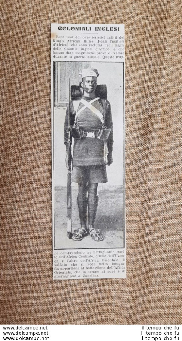 King's African Rifle Reale Fuciliere D'Africa Nel 1917 WW1 Prima Guerra Mondiale - Autres & Non Classés