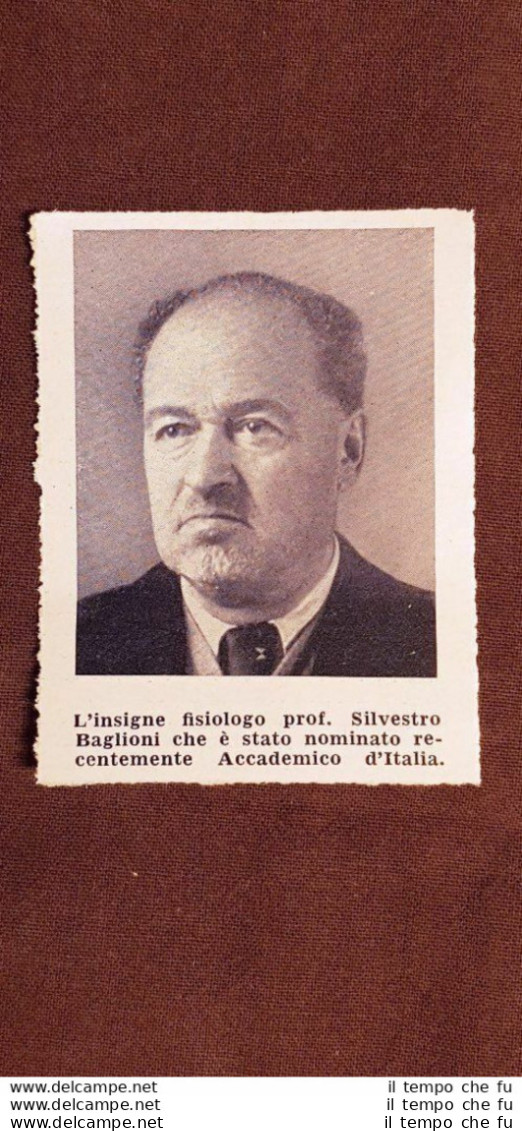 Silvestro Baglioni Nel 1942 Belmonte Piceno, 1876  Roma, 1957 Fisiologo - Altri & Non Classificati