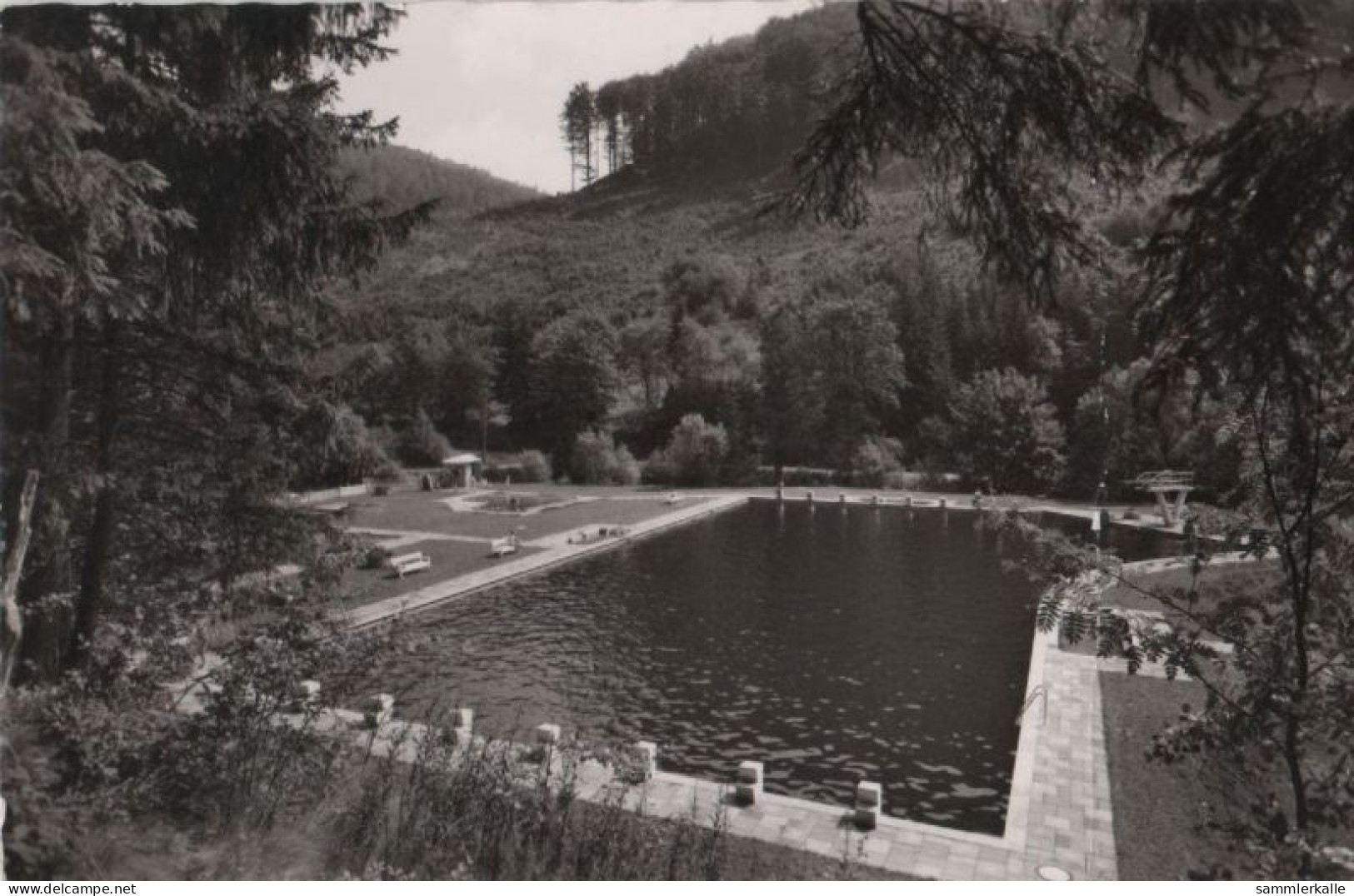 41965 - Zorge - Waldschwimmbad - 1961 - Osterode