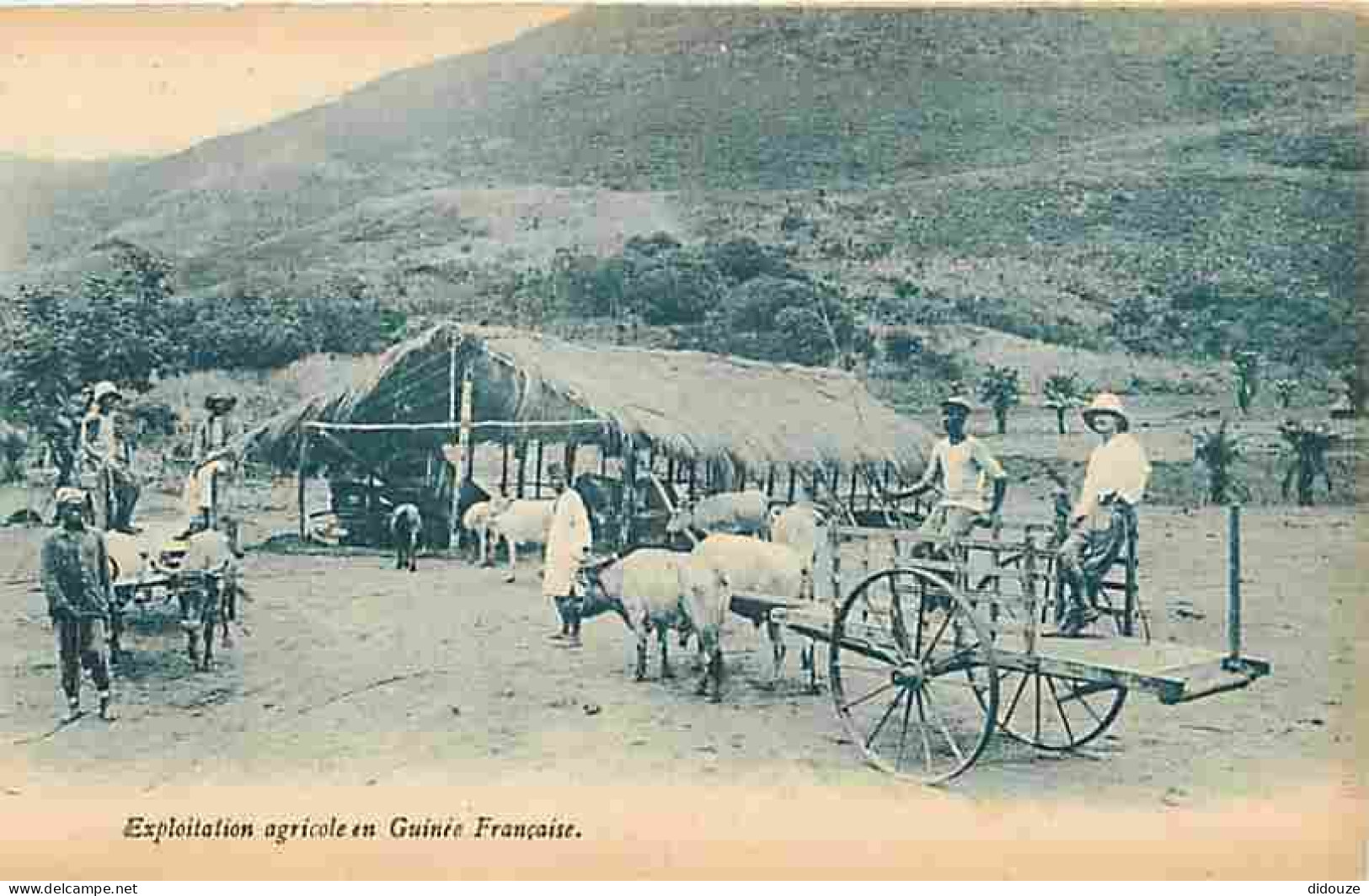 Guinée Française - Exploitation Agricole - Animée - Attelage De Boeufs - Paysans - Carte Neuve - CPA - Voir Scans Recto- - Guinea