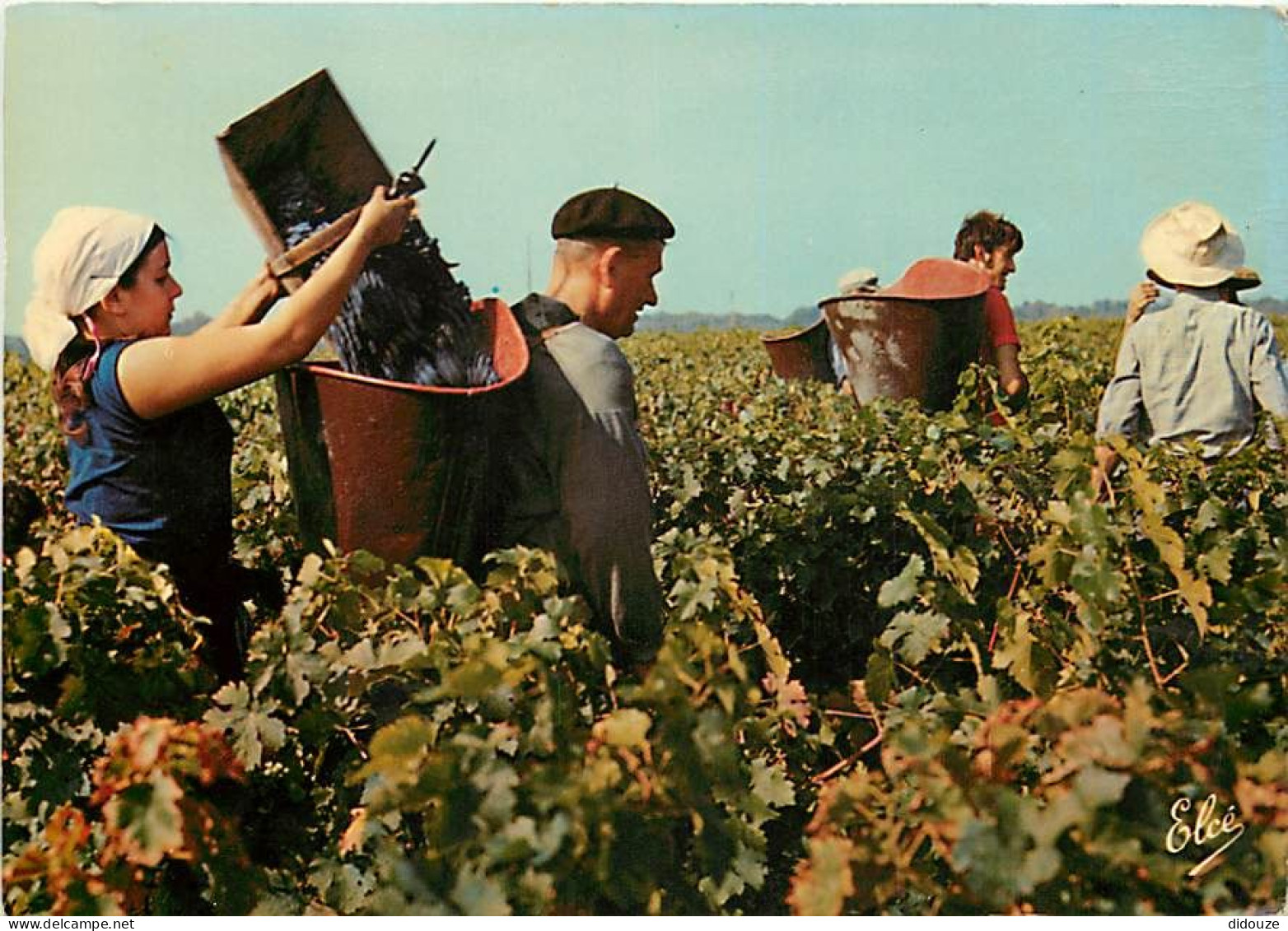 Vignes - Scènes De Vendanges - CPM - Voir Scans Recto-Verso - Vignes