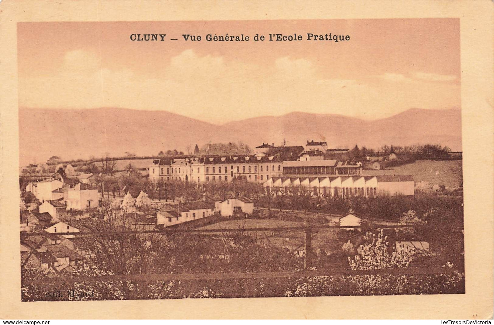 FRANCE - Cluny -  Vue Générale De L'école Pratique - Vue Générale - Carte Postale Ancienne - Cluny
