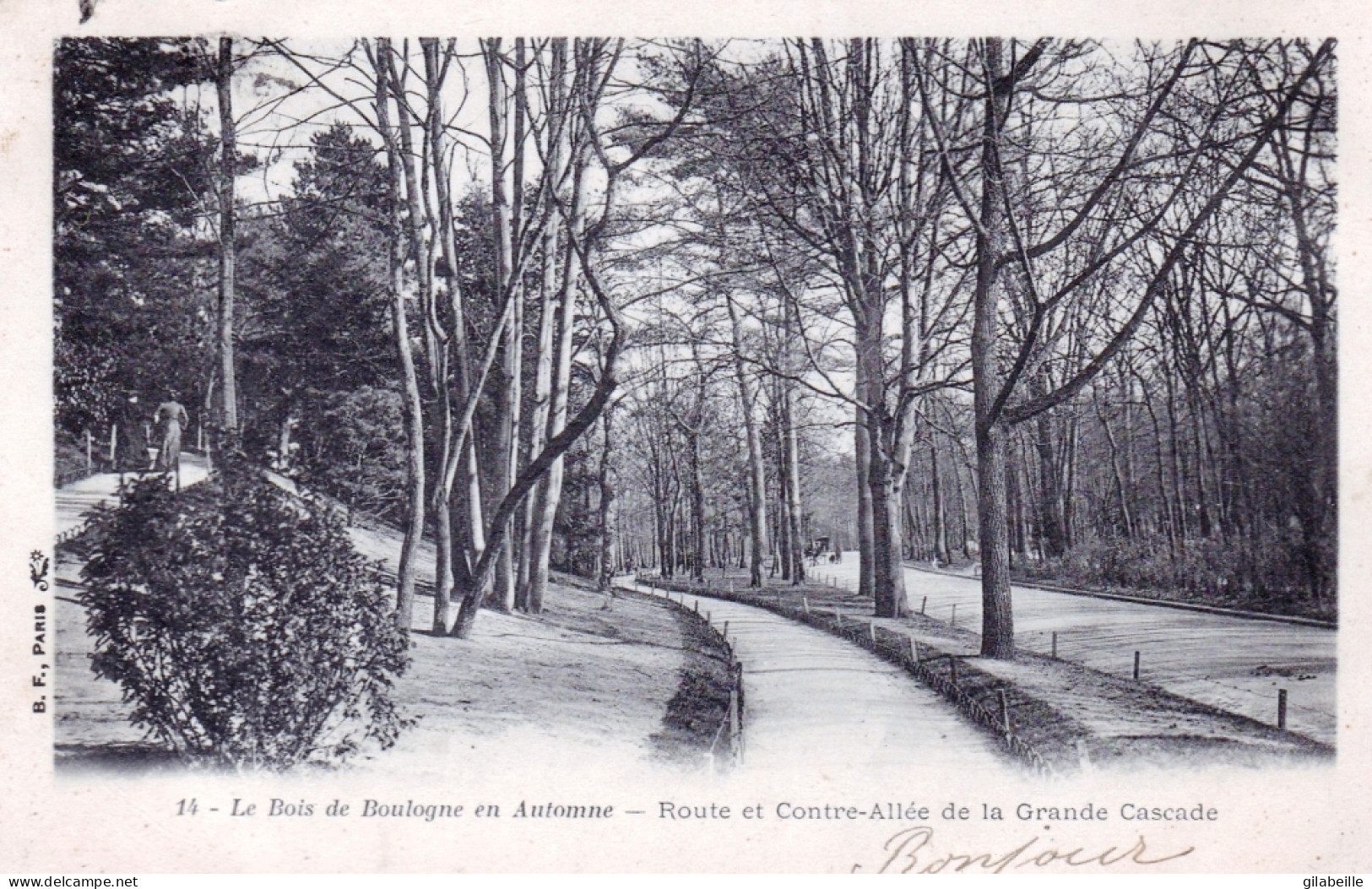 75 - PARIS 16 - Bois De Boulogne En Automne - Route Et Contre Allée De La Grande Cascade - Arrondissement: 16