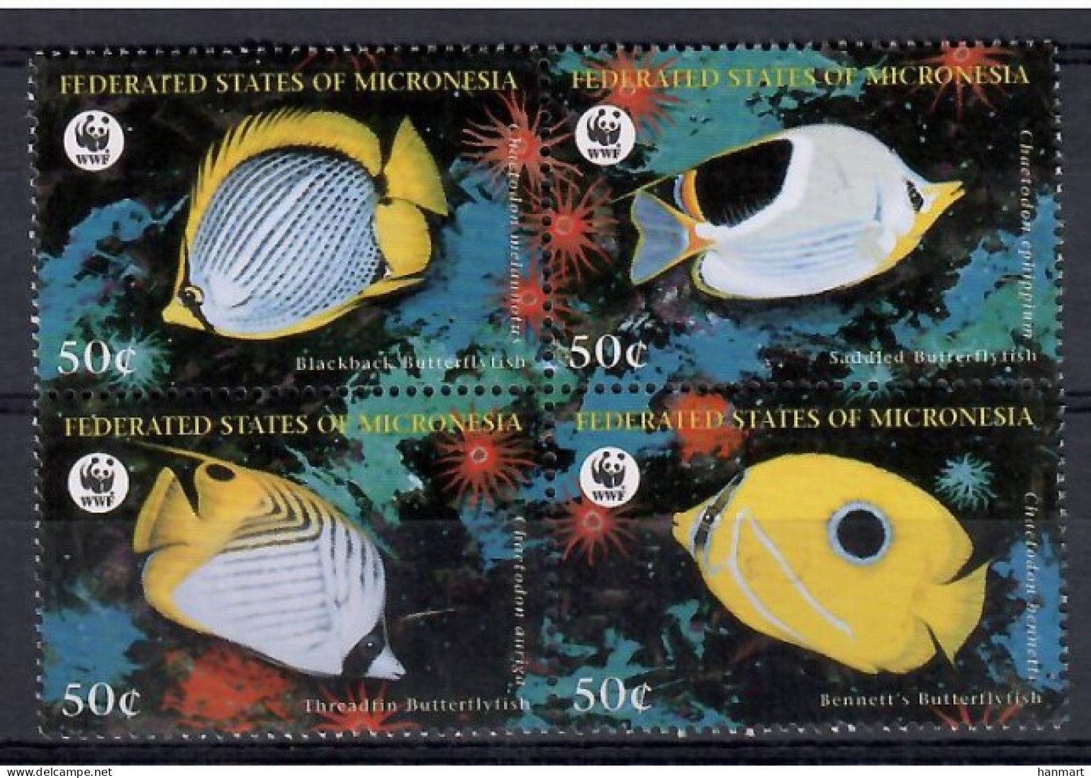 Micronesia, Federated States Of  1997 Mi 583-586 MNH  (ZS7 MCRvie583-586) - Coquillages