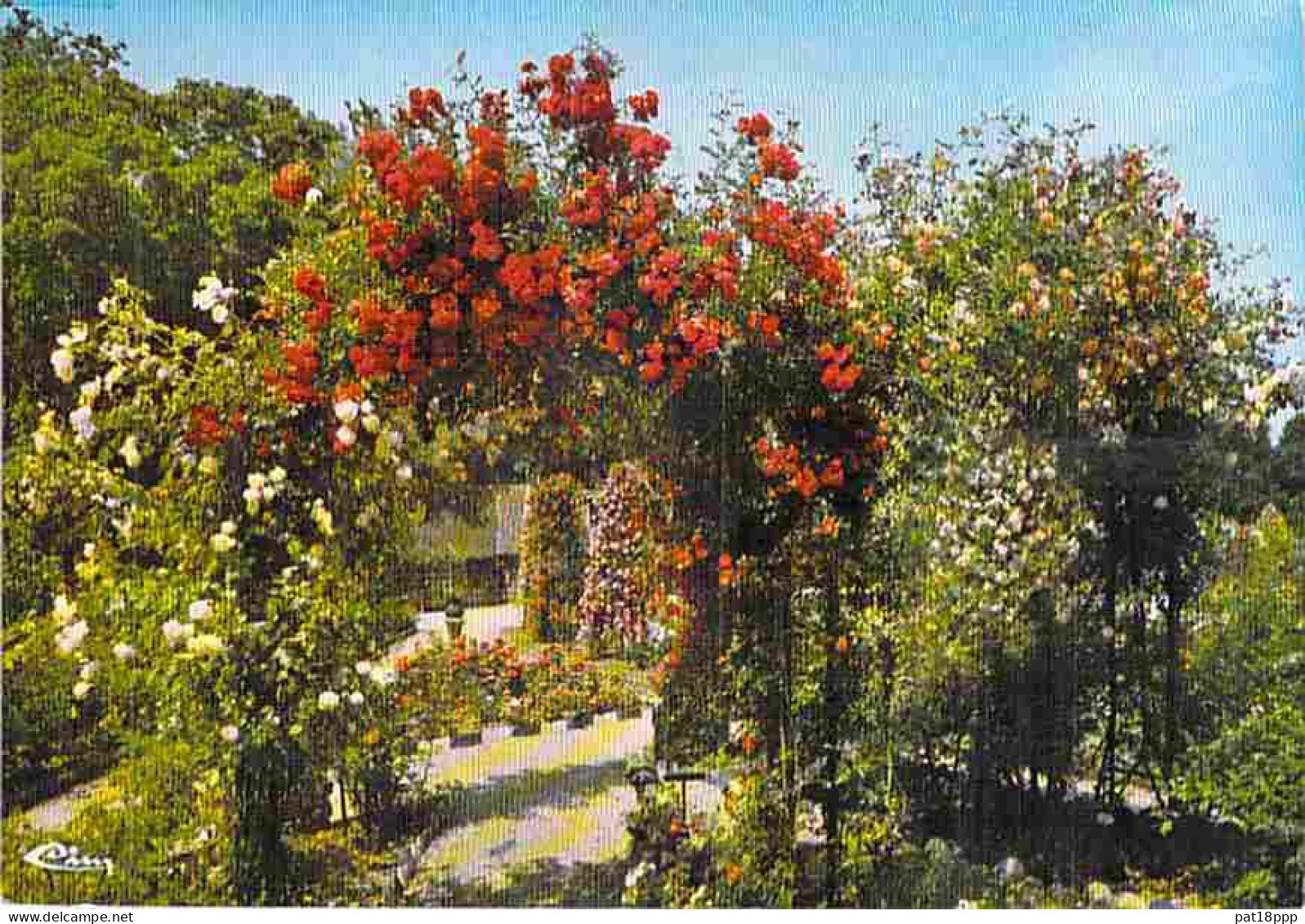 BON Lot de 45 cartes de PARCS & JARDINS CPSM-CPM grand format dont 19 dentelées (FRANCE 1960-90's) Arbre Fleur Roseraie