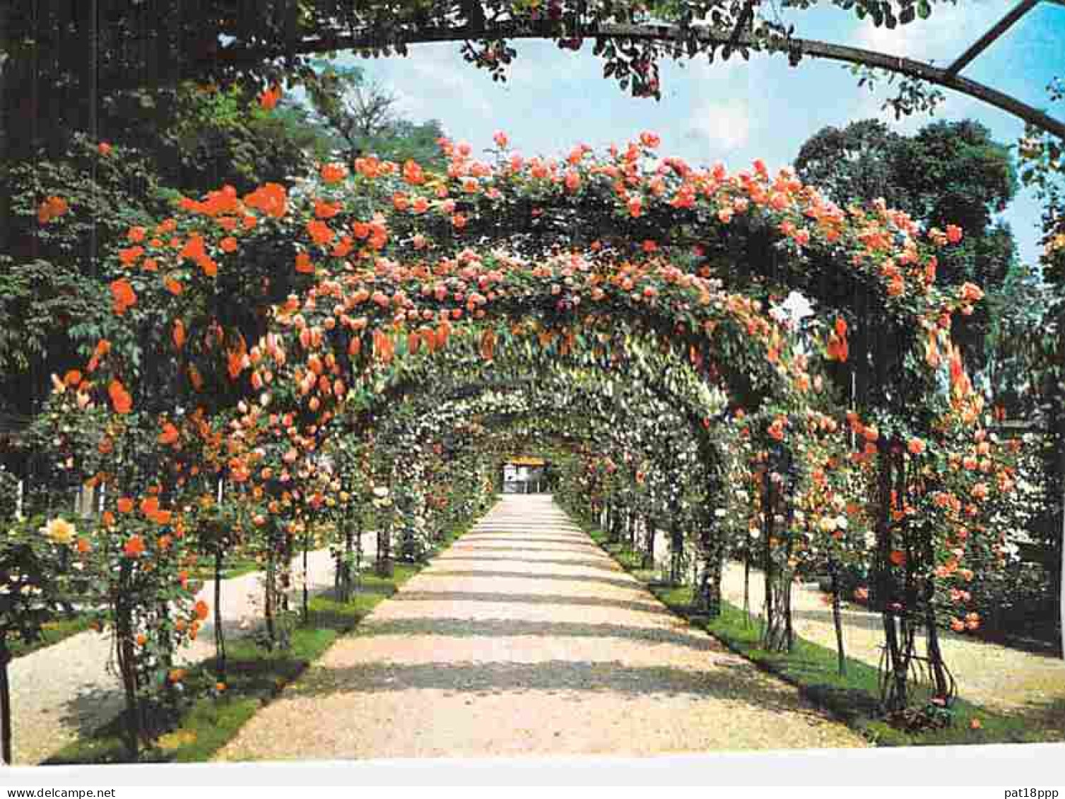 BON Lot de 45 cartes de PARCS & JARDINS CPSM-CPM grand format dont 19 dentelées (FRANCE 1960-90's) Arbre Fleur Roseraie