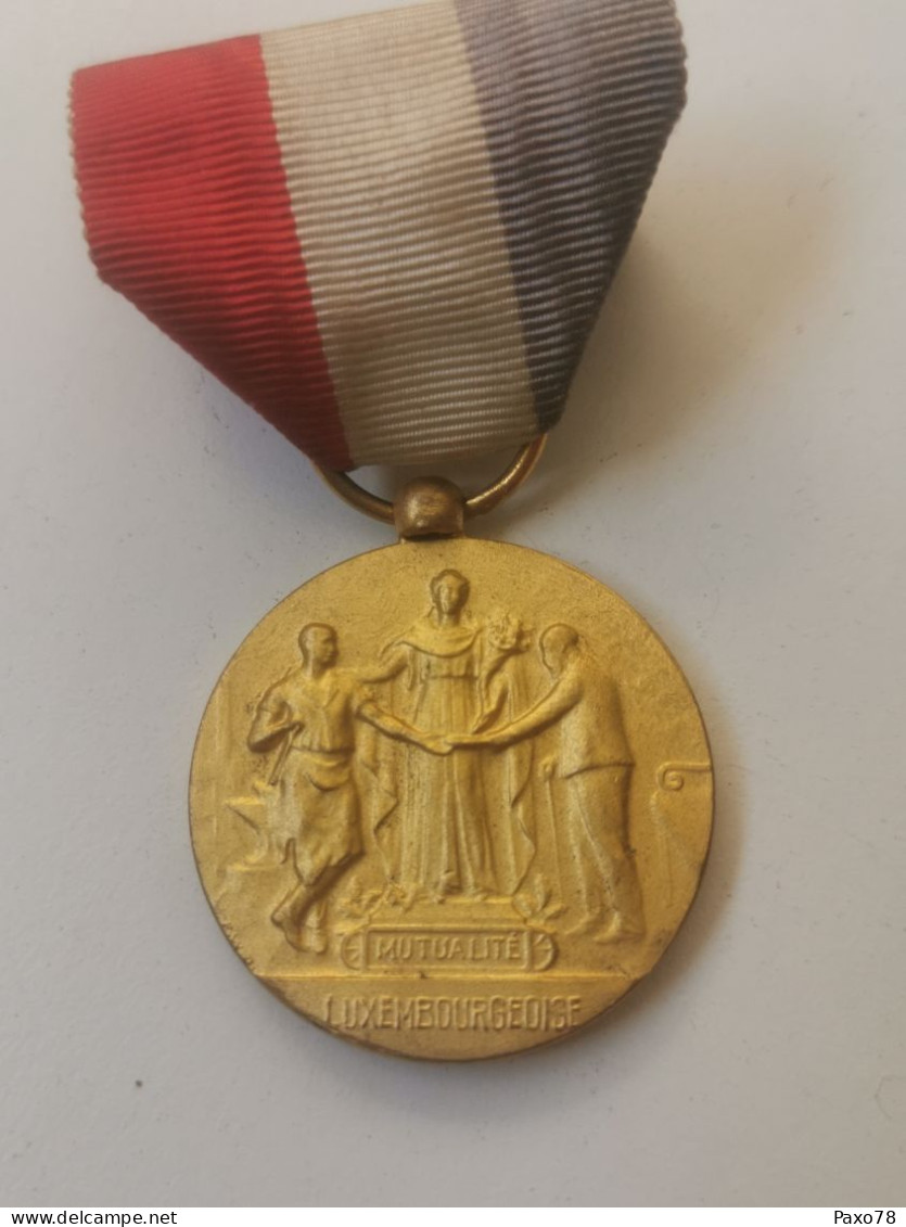 Luxembourg Médaille, Fédération Nationale Des Sociétés Luxembourgeoises Mutualité - Otros & Sin Clasificación