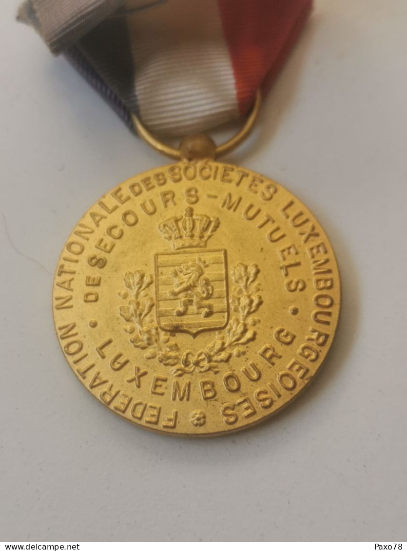 Luxembourg Médaille, Fédération Nationale Des Sociétés Luxembourgeoises Mutualité - Autres & Non Classés