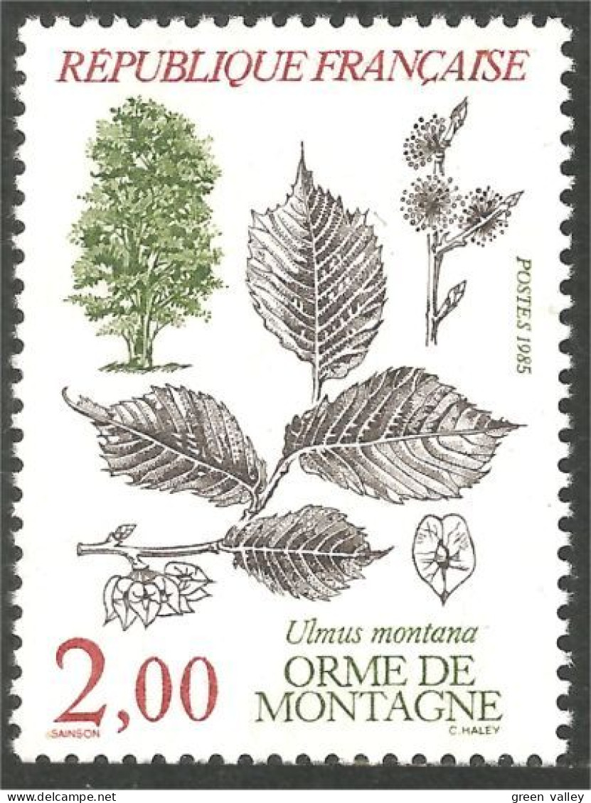 353 France Yv 2385 Orme Elm Ulme MNH ** Neuf SC (2385-1b) - Arbres