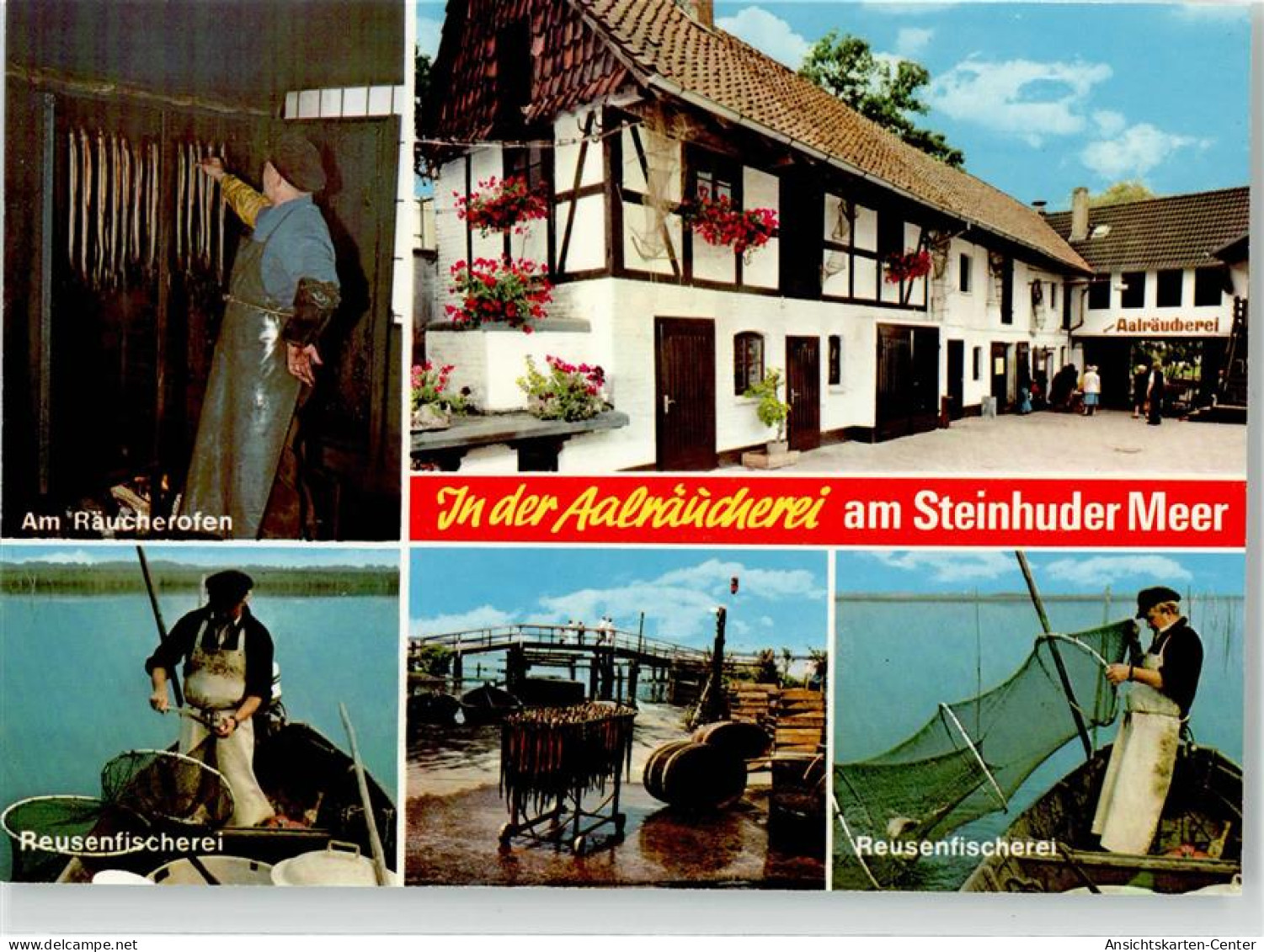 52153602 - Steinhude - Steinhude