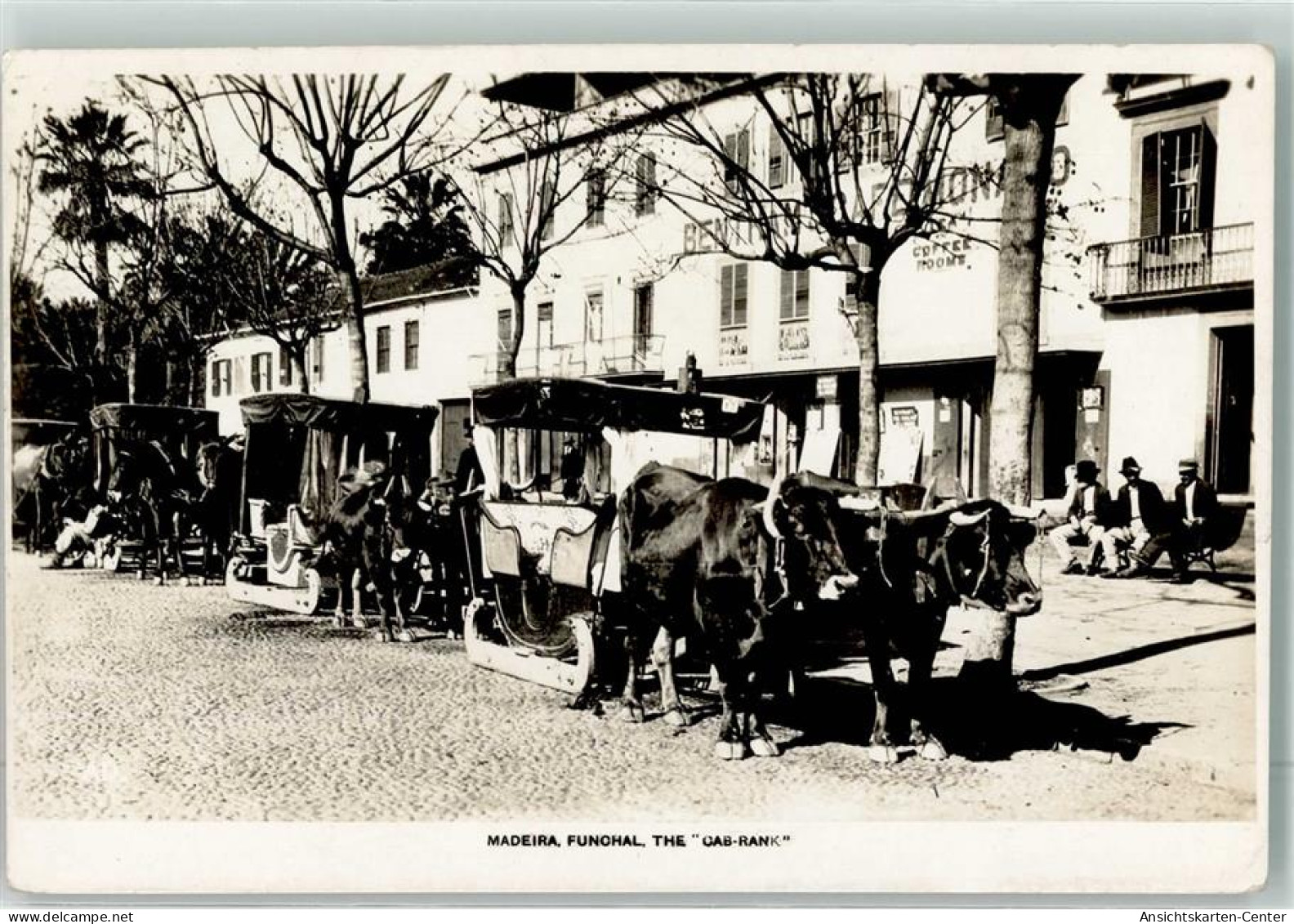 13957402 - Funchal - Madeira