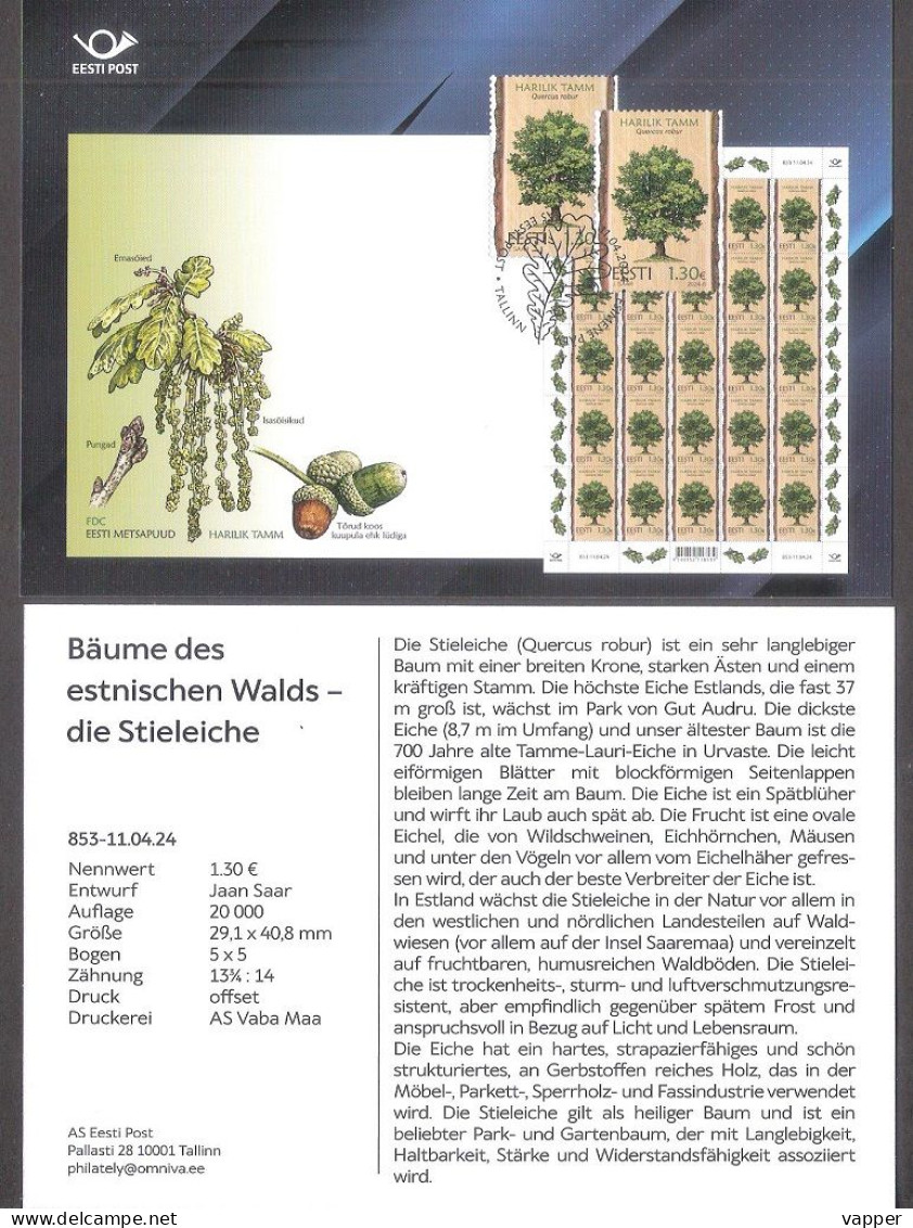 Forest Trees – Oak Estonia 2024 Stamp Presentation Card (ger) Mi 1101 - Arbres