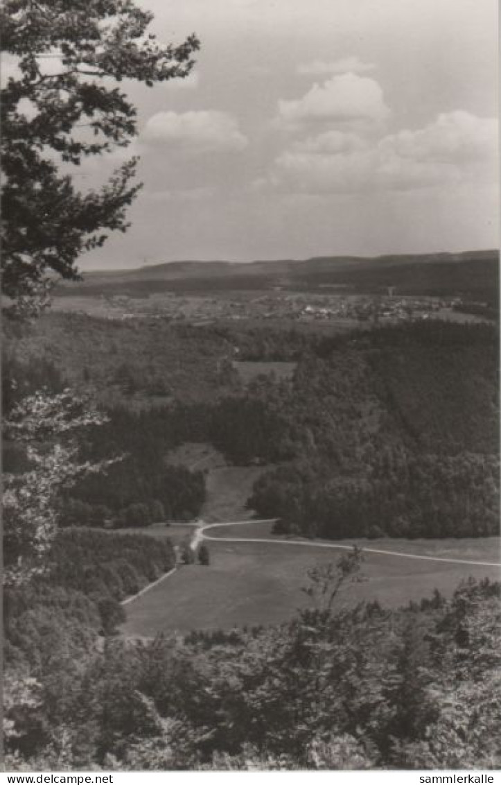 61494 - Schmiedefeld - Umgebung Stutenhaus - 1967 - Schmiedefeld