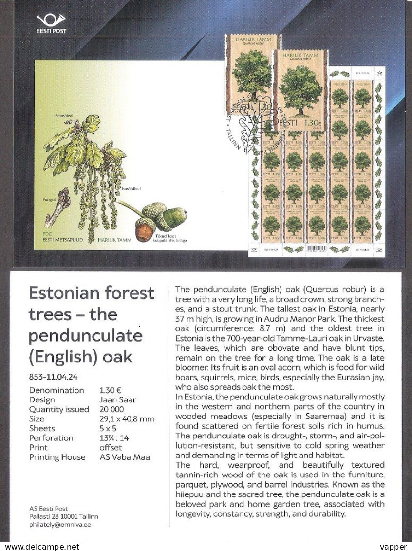 Forest Trees – Oak Estonia 2024 Stamp Presentation Card (ger) Mi 1101 - Arbres