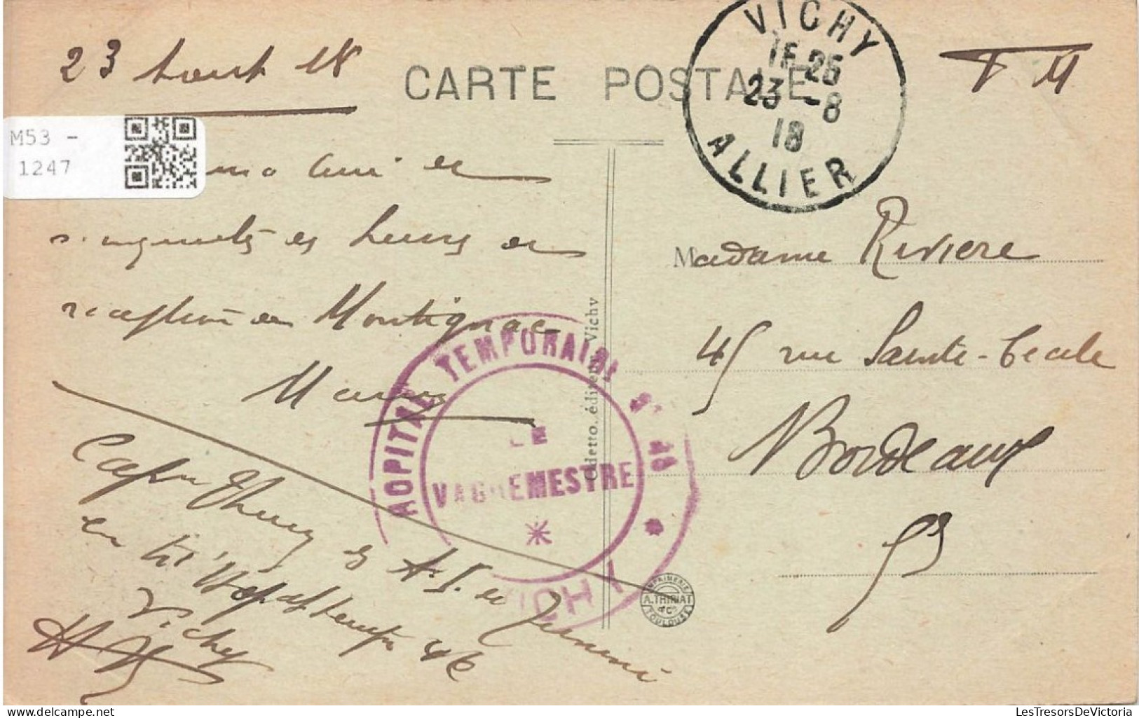 FRANCE - Vichy - Vue Sur Les Parc Des Célestins - Vue Générale  - Carte Postale Ancienne - Vichy