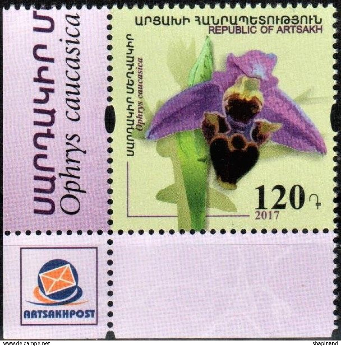 Artsakh 2017 Flora Of Artsakh "Caucasian Orchid" 1v Quality:100% - Armenien