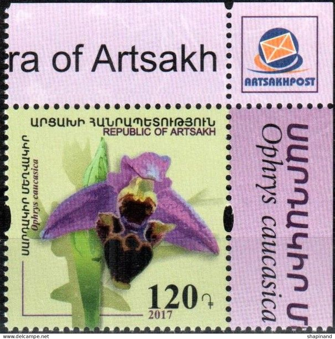 Artsakh 2017 Flora Of Artsakh "Caucasian Orchid" 1v Quality:100% - Armenia