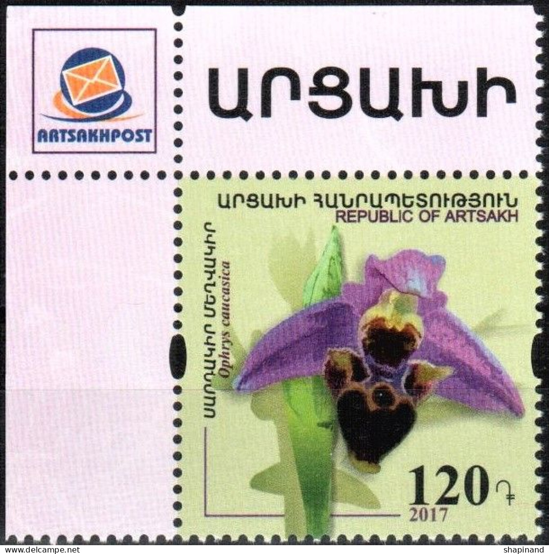 Artsakh 2017 Flora Of Artsakh "Caucasian Orchid" 1v Quality:100% - Arménie