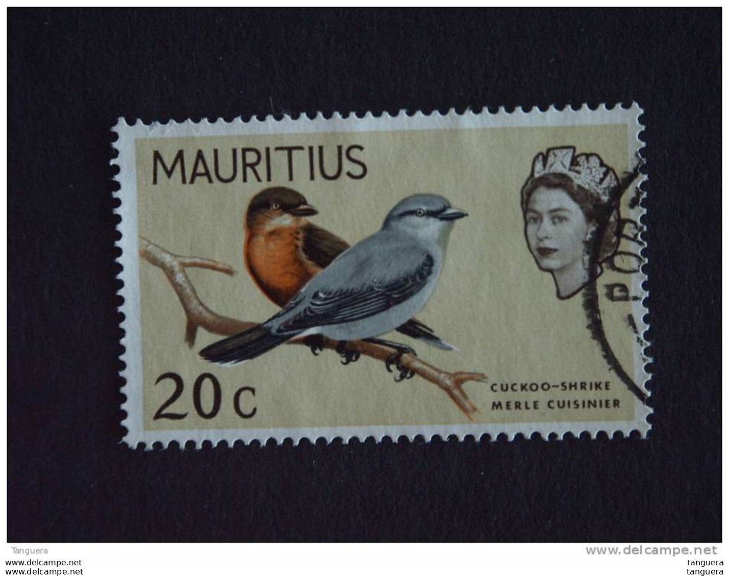 Mauritius Maurice Merel Merle Cuisinier Yv 320 O - Zangvogels