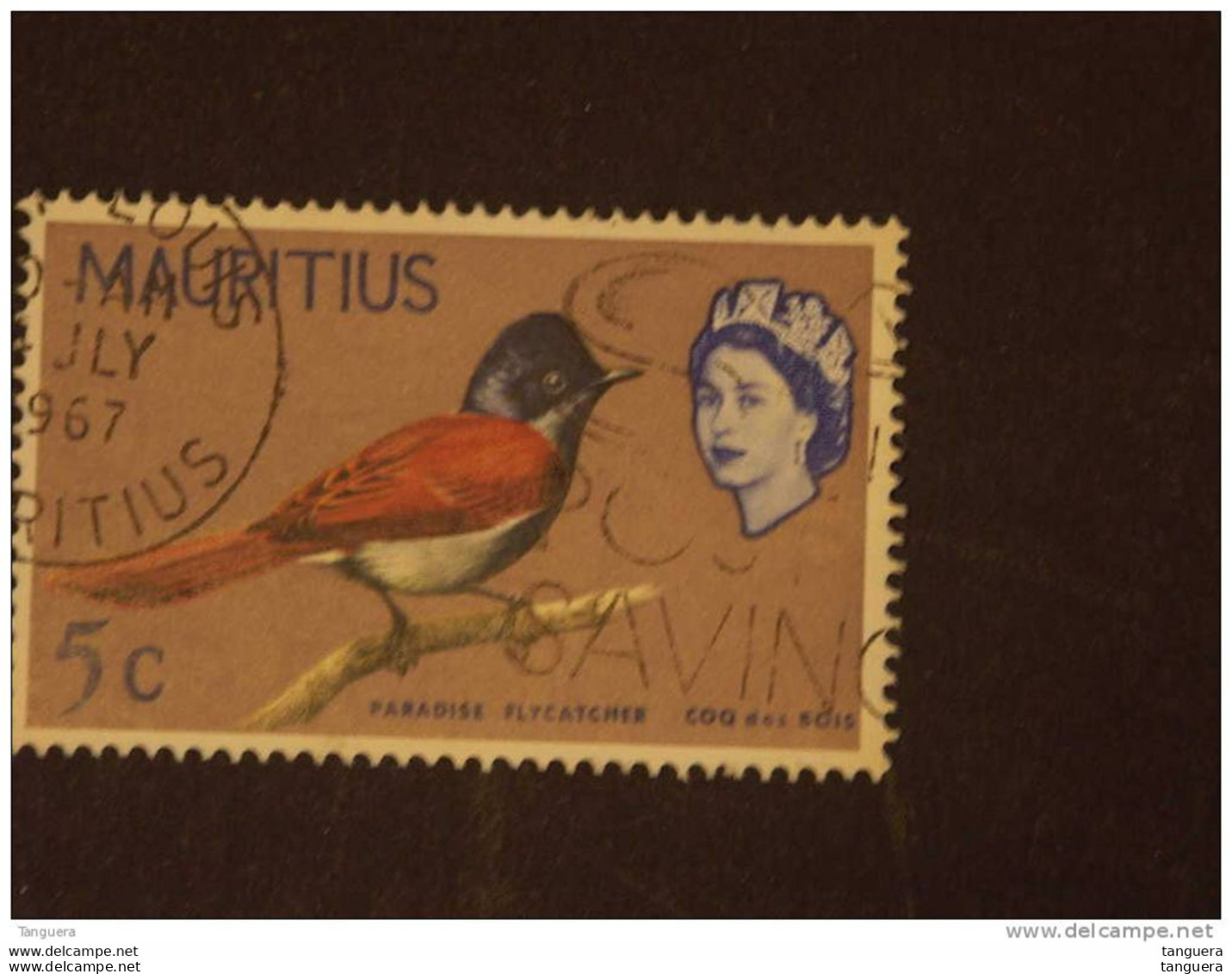 Mauritius Maurice 1965-67 Oiseaux Vogels Coq Des Bois Flycatcher Filigrane Couché Yv 269a O - Maurice (...-1967)