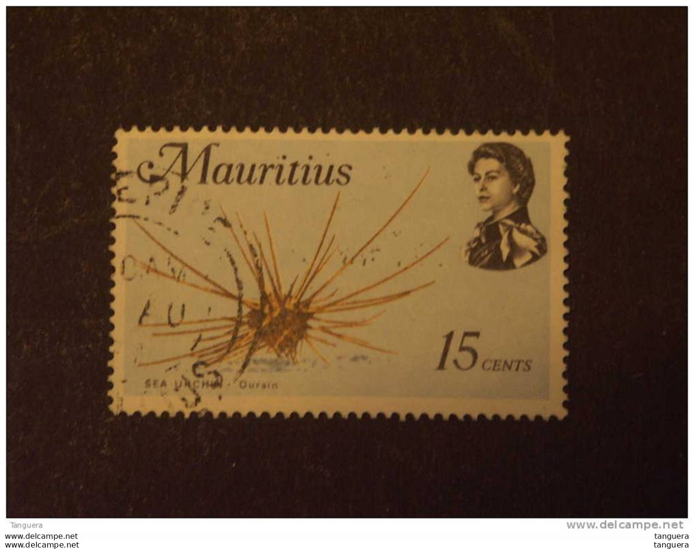 Mauritius Maurice 1969 Elisabeth II Faune Marine Oursin Zeeegel Filigrane Couché Yv 334 O - Maurice (1968-...)