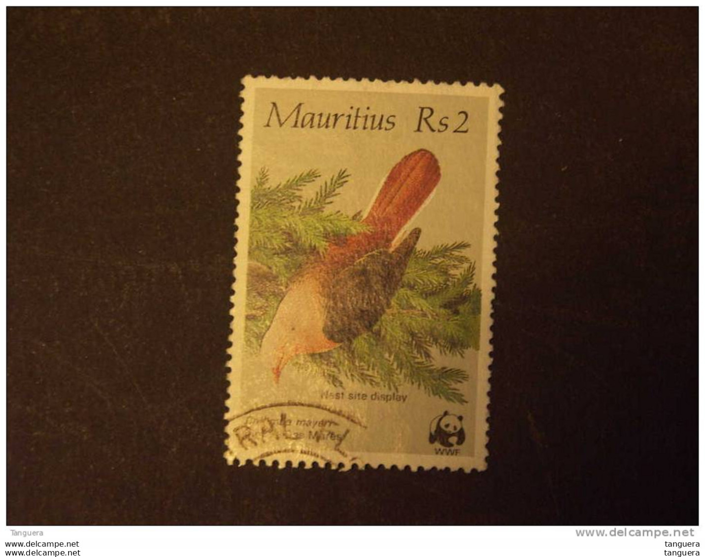 Mauritius Maurice 1985 WWF Pigeon Rose Des Mares Duif Columba Mayeri Yv 632 O - Tauben & Flughühner