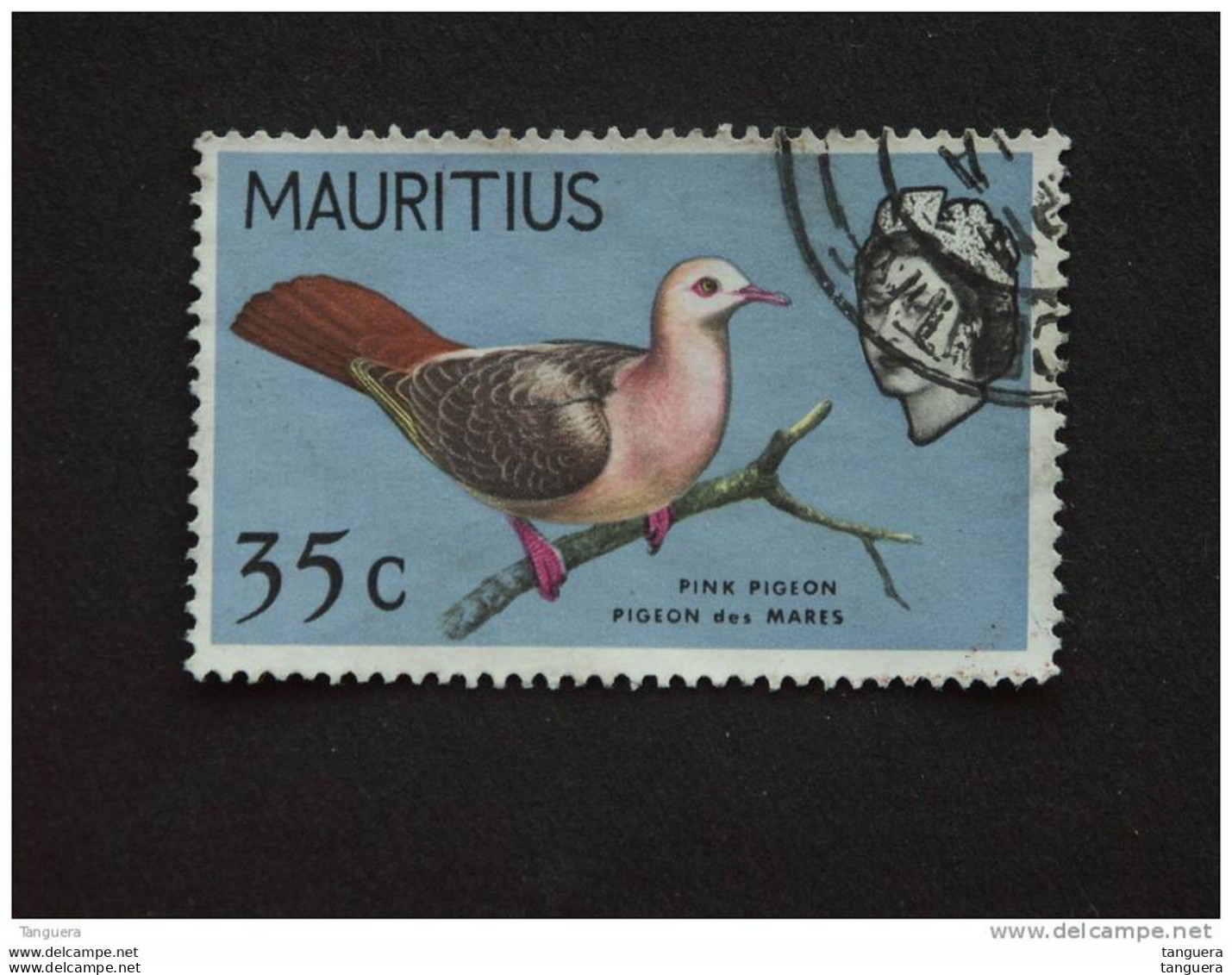 Maurice Mauritius 1965-67 Pigeon Des Mares Yv 274 O - Mauritius (...-1967)