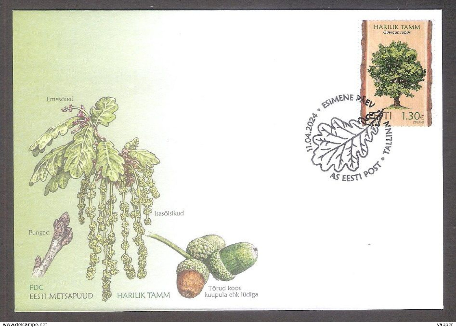 Forest Trees – Oak Estonia 2024  Stamp FDC Mi 1101 - Arbres