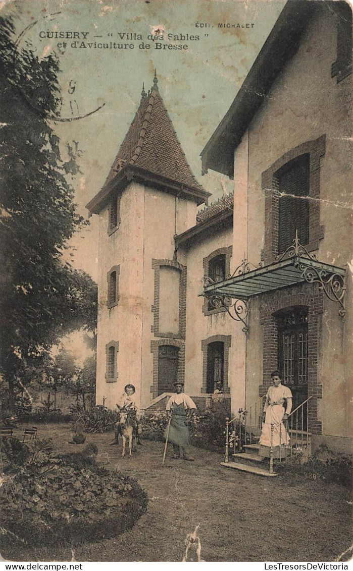 FRANCE - Cuisery - Villa Des Sables Et D'Aviculture De Bresse - Vue Panoramique - Animé - Carte Postale Ancienne - Louhans