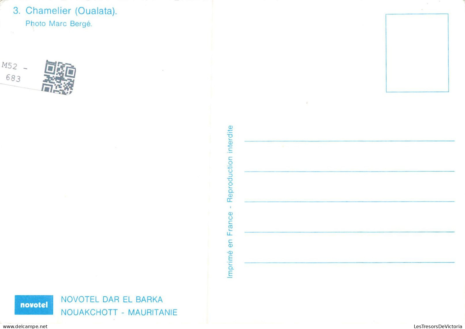 MAURITANIE - Oualata - Chamelier - Carte Postale - Mauritania