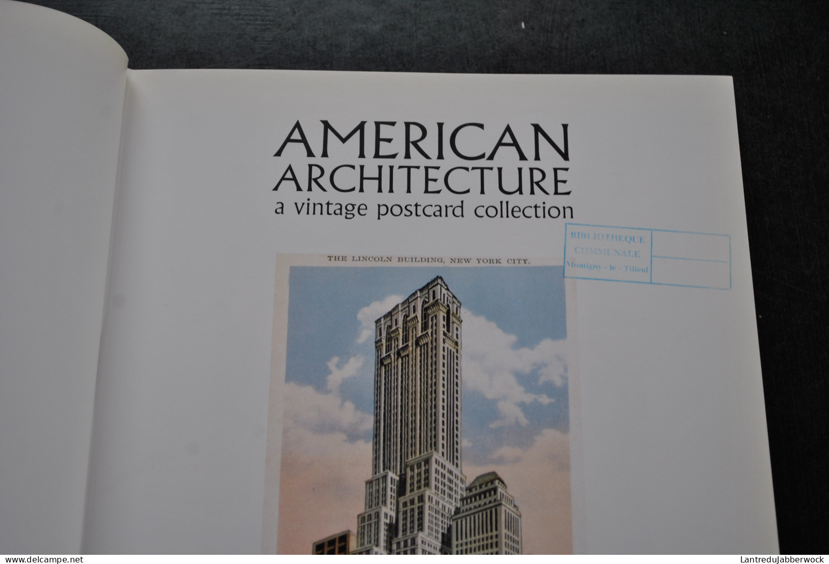 American Architecture A Vintage Postcard Collection Luc Van Malderen Carte Postale USA Etats Unis Building Gratte-ciel - Libri & Cataloghi