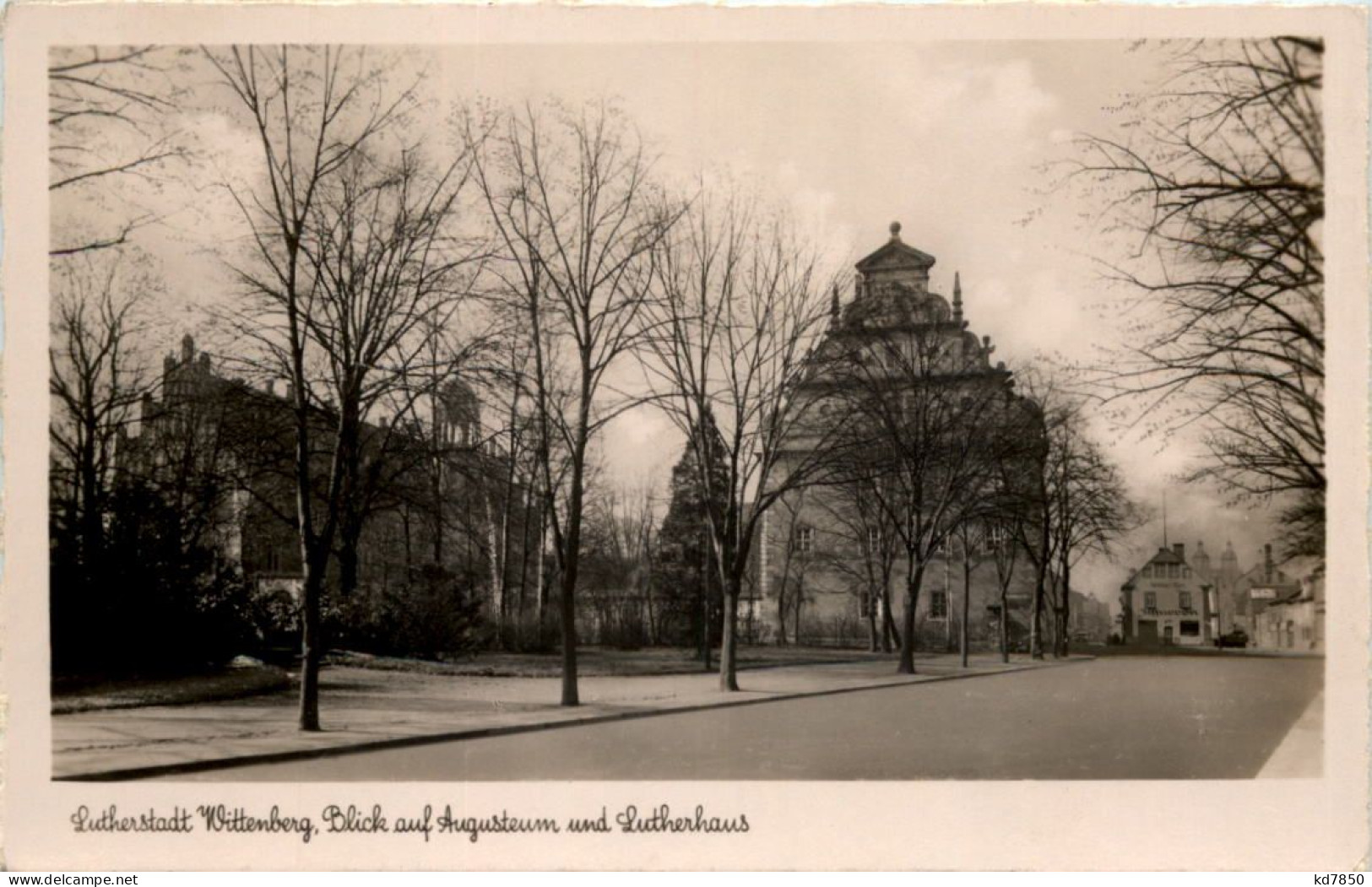 Wittenberg, Blick Auf Augusteum Und Lutherhaus - Wittenberg