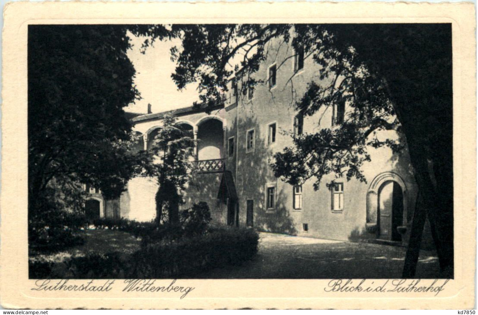 Wittenberg, Blick I.d. Lutherhof - Wittenberg