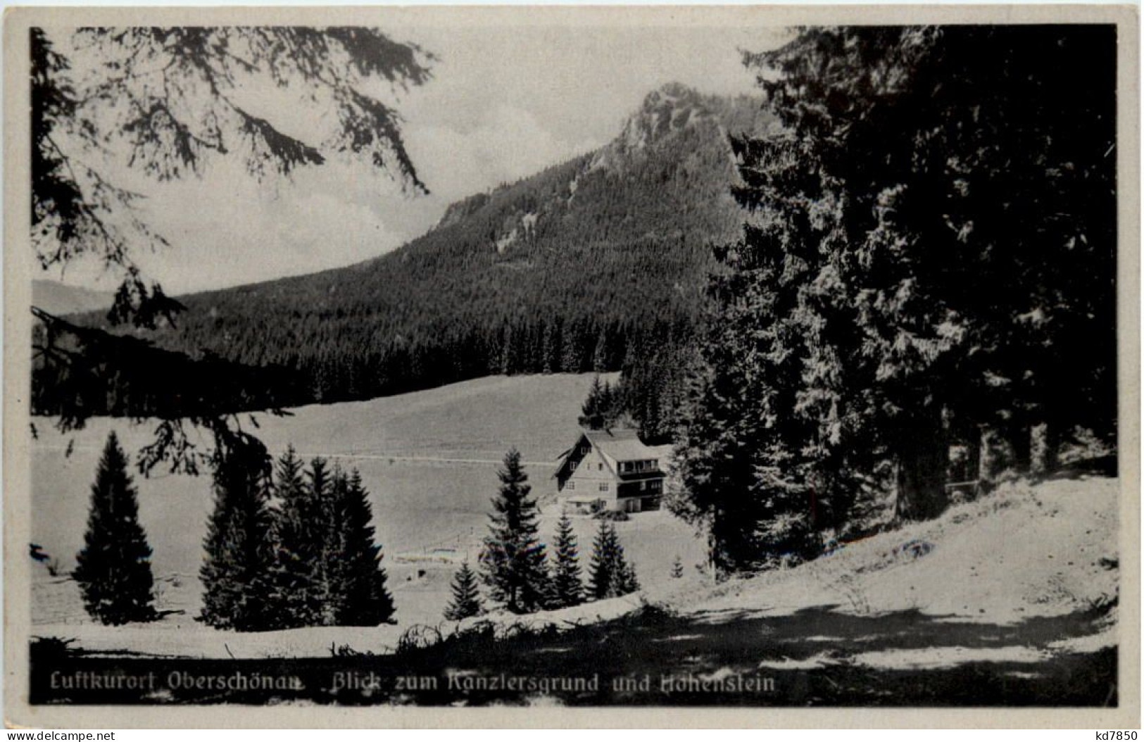 Oberschönau, Blick Zum Kanzlersgrund Und Höhenstein - Steinbach-Hallenberg