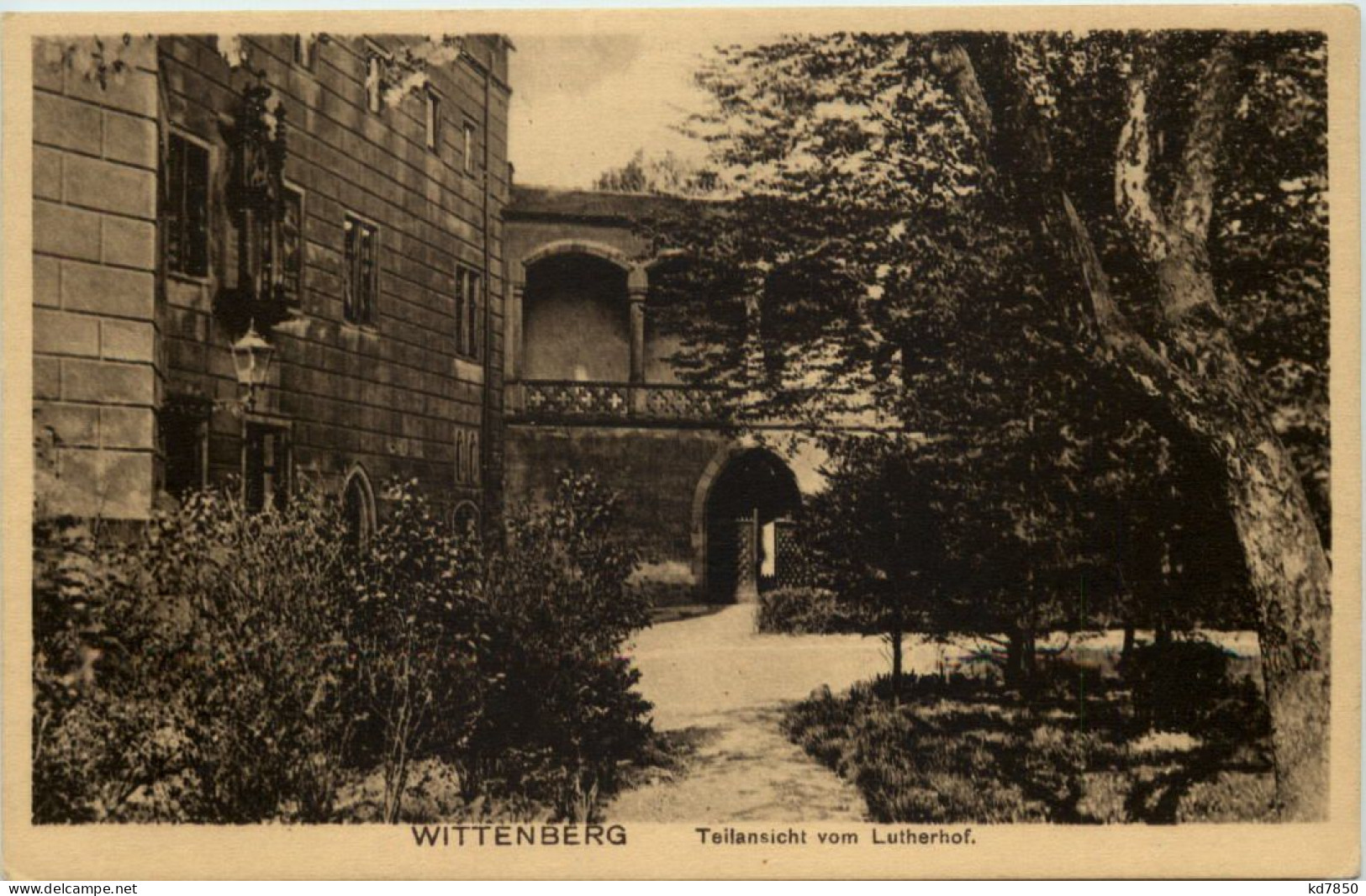 Wittenberg, Teilansicht Vom Lutherhof - Wittenberg