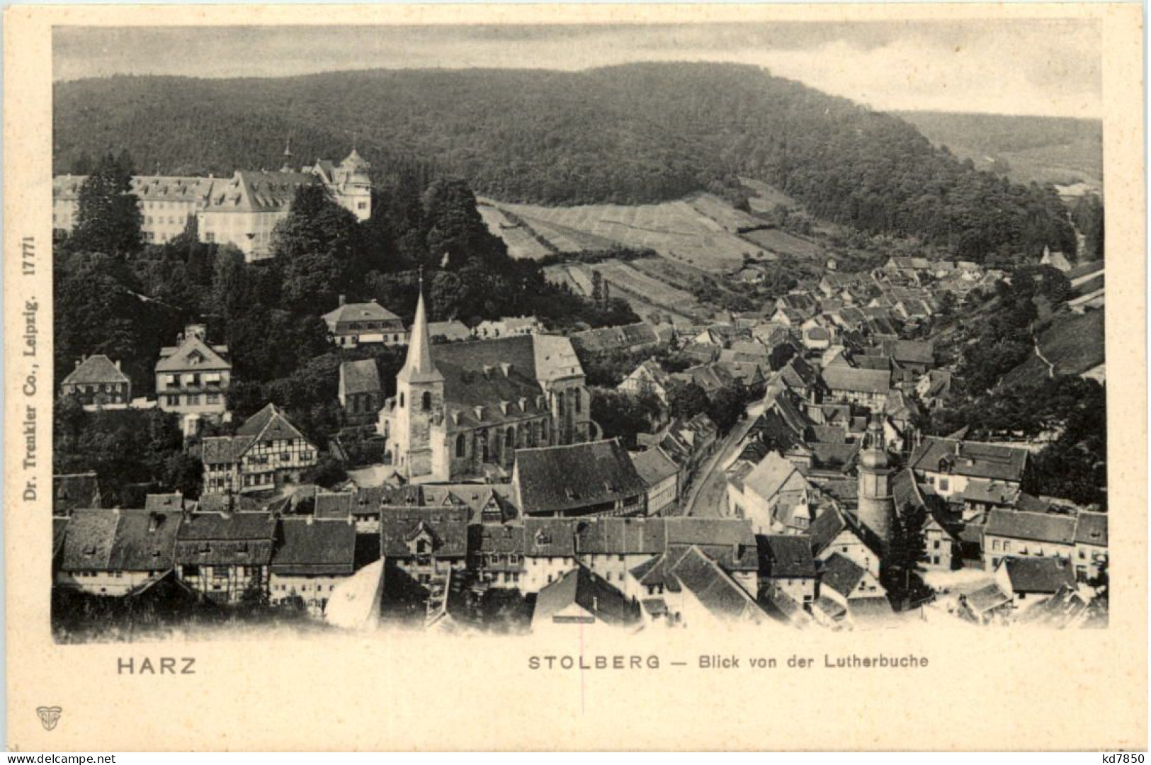 Stolberg Harz, Blick Von Der Lutherbuche - Stolberg (Harz)