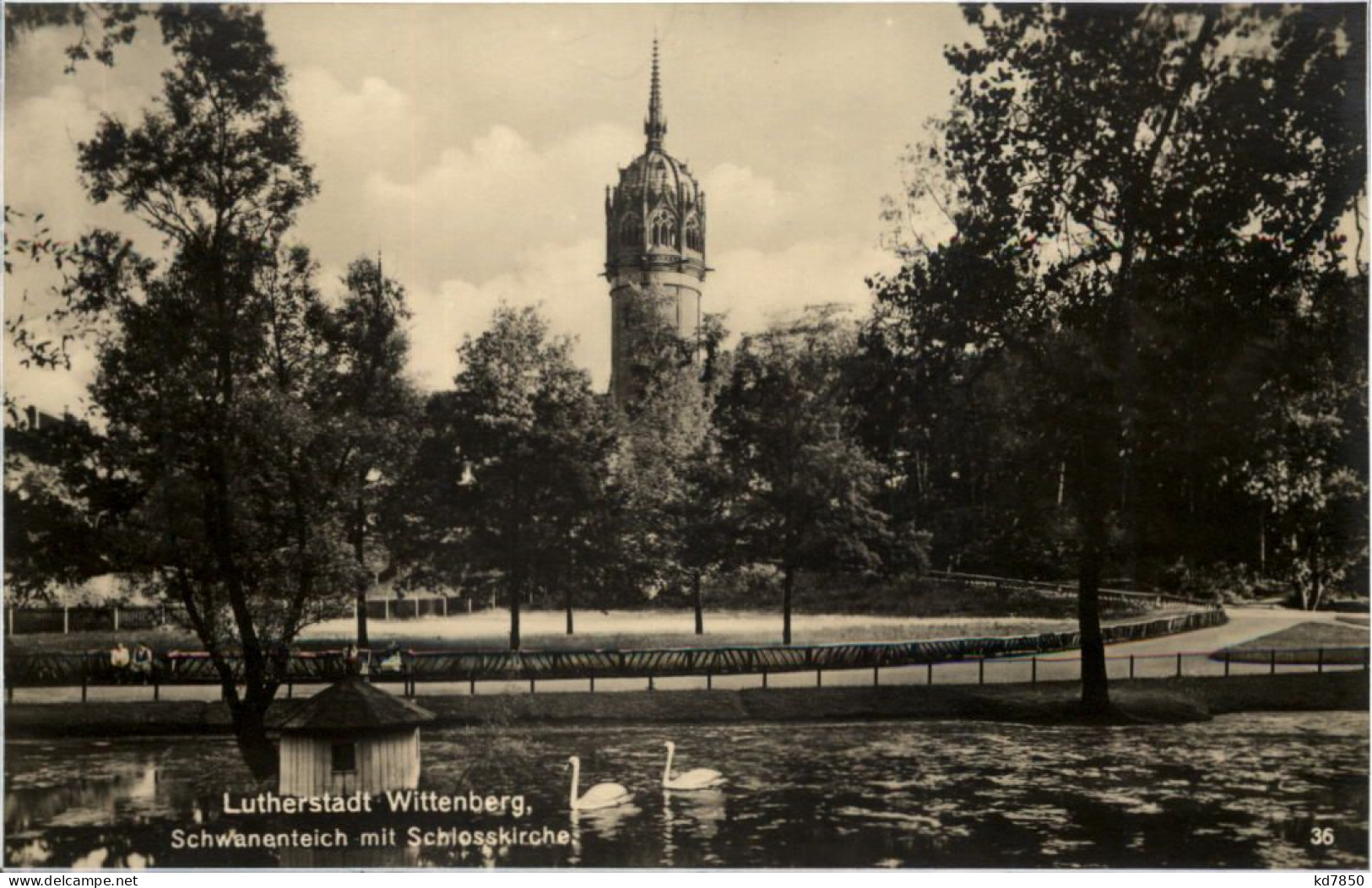 Wittenberg, Schwanenteich Mit Schlosskirche - Wittenberg