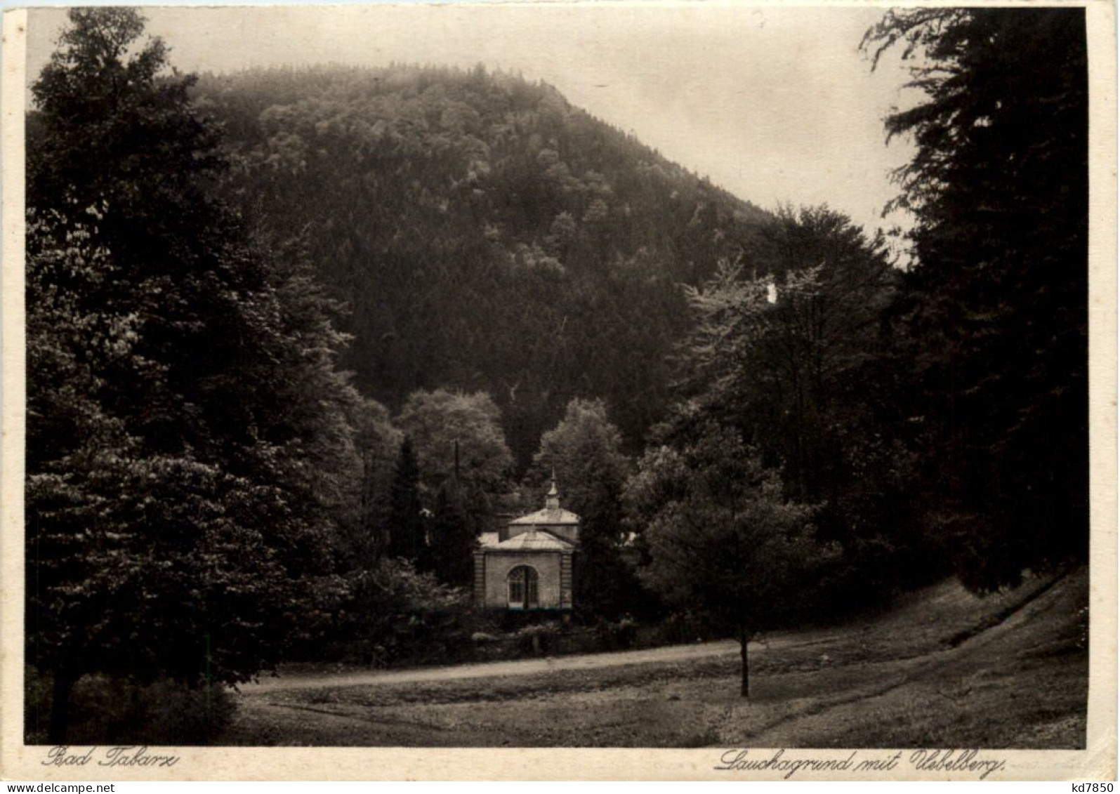 Tabarz, Lauchagrund Mit Übelberg - Tabarz